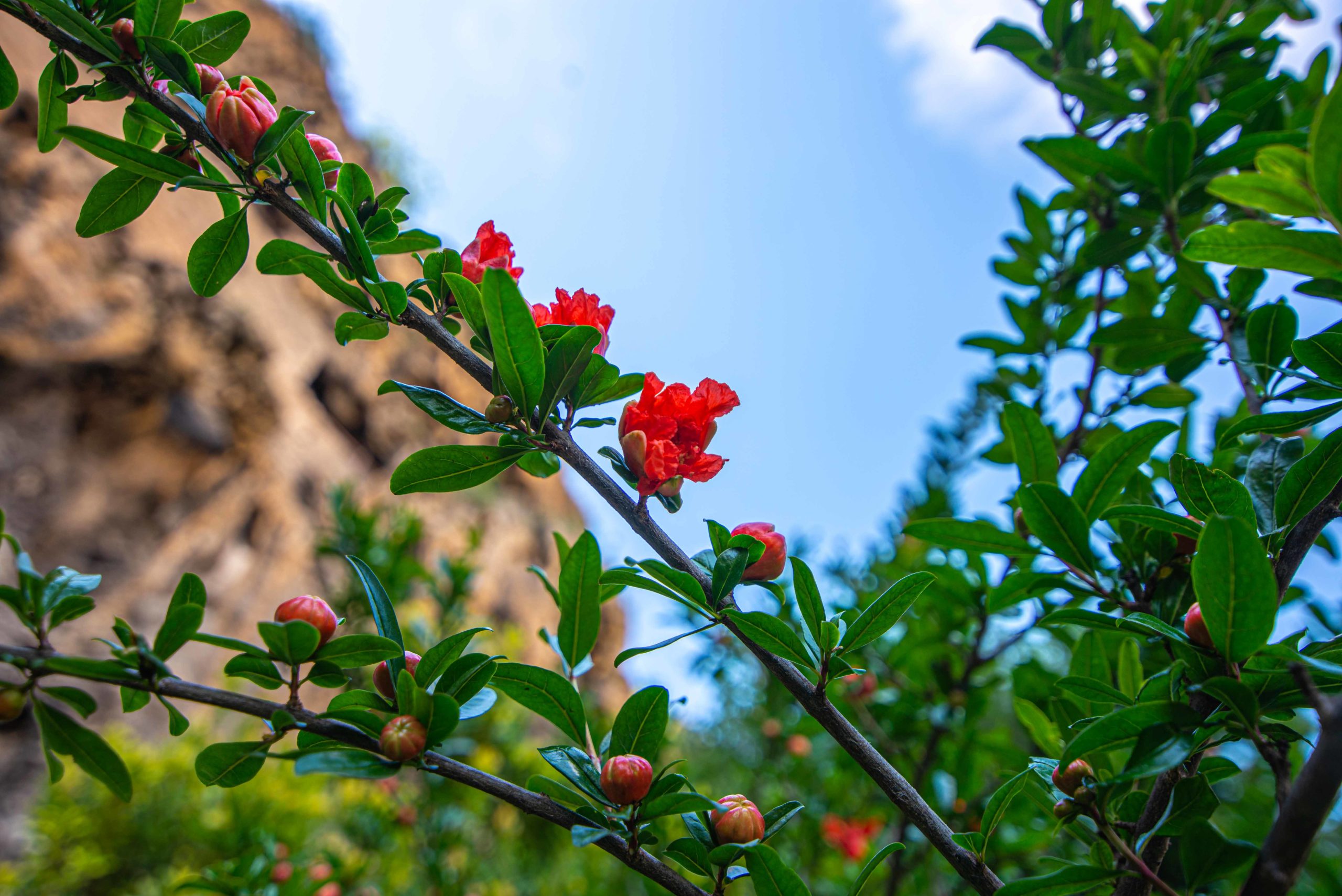 département du Var 83 que faire en provence alpes côte d'azur blog voyage