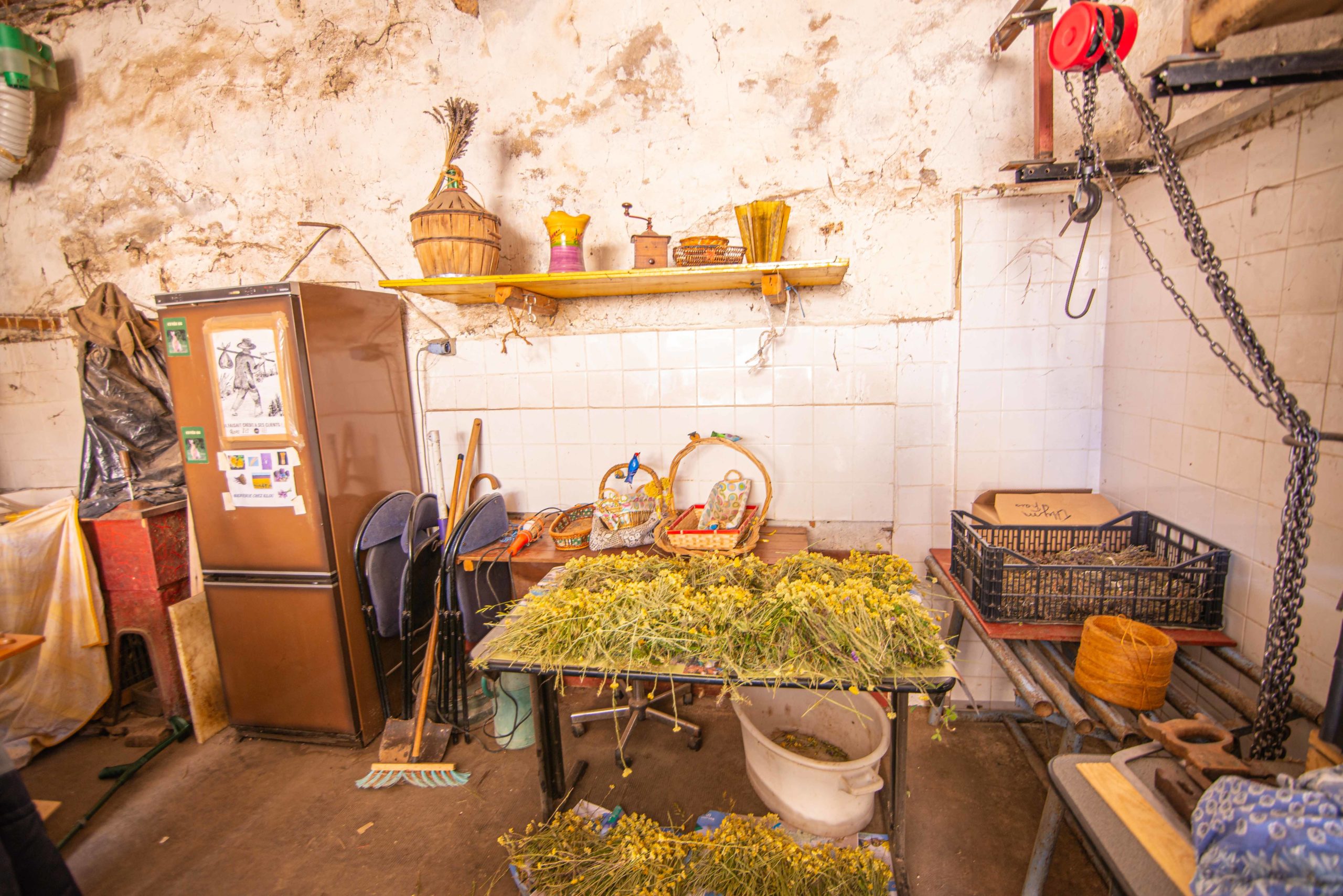 Gilbert Gouin Valensole Alpes-de-Haute-Provence Provence Alpes Côte d'Azur Paca blog voyage
