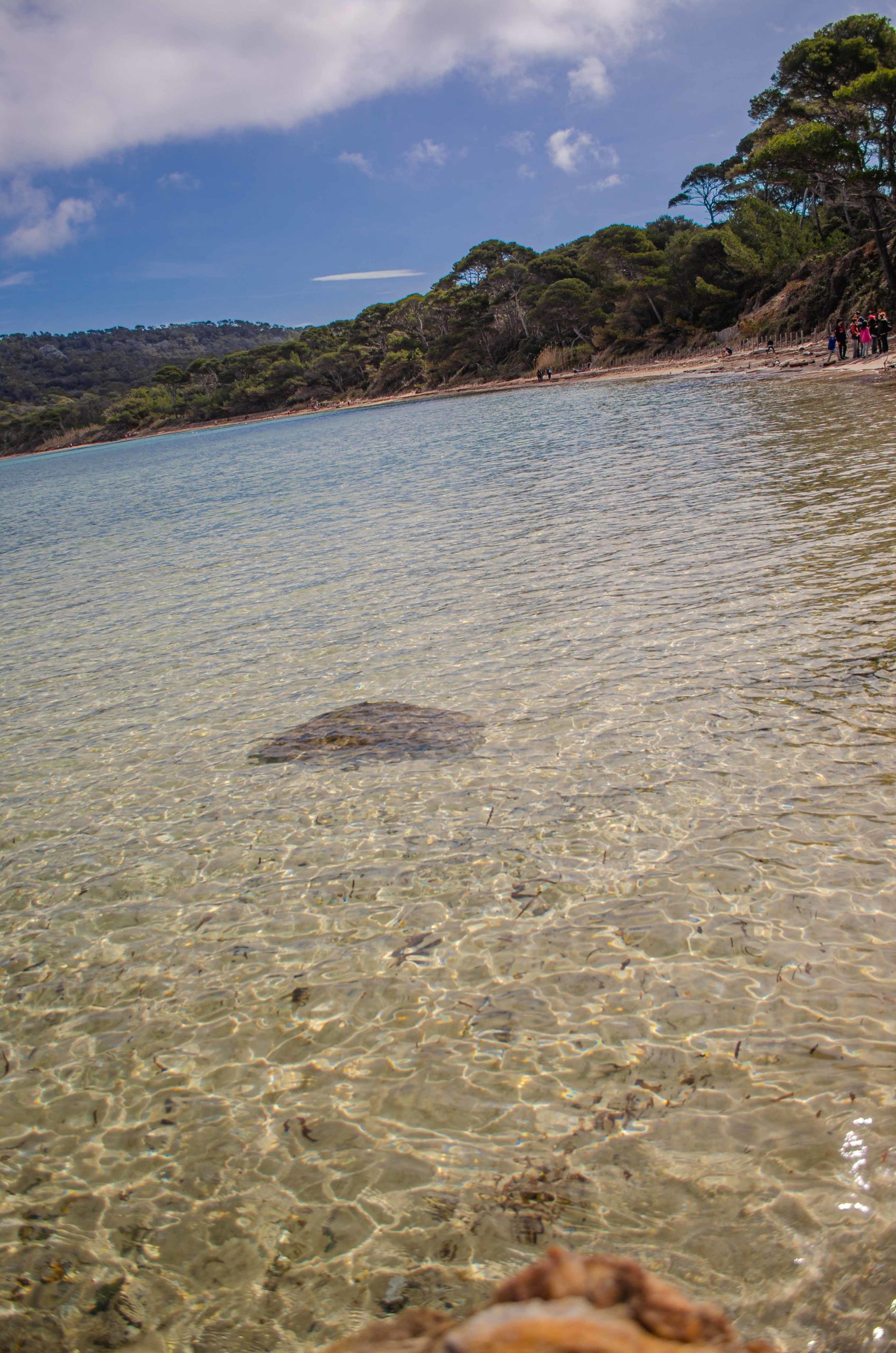Porquerolles département du Var 83 que faire en provence alpes côte d'azur blog voyage