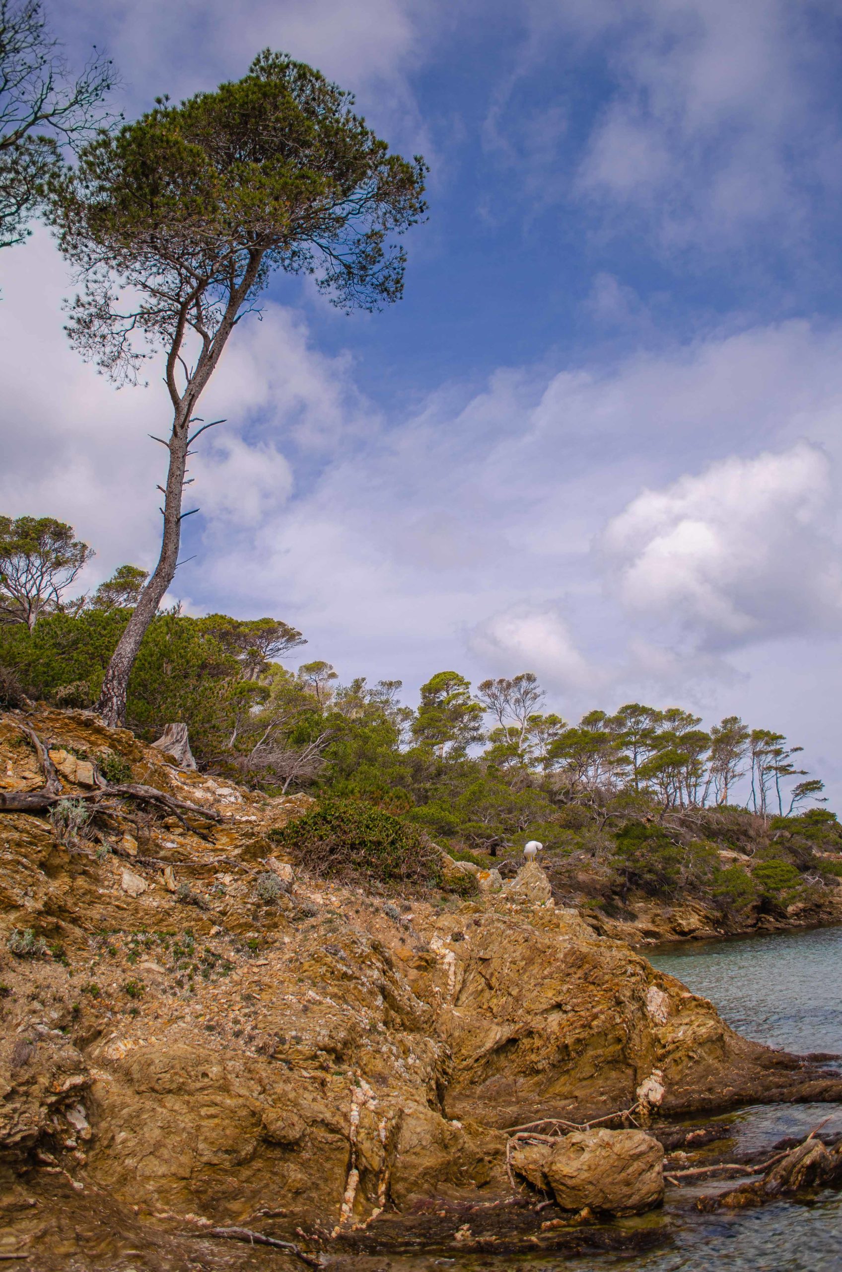 département du Var 83 que faire en provence alpes côte d'azur blog voyage