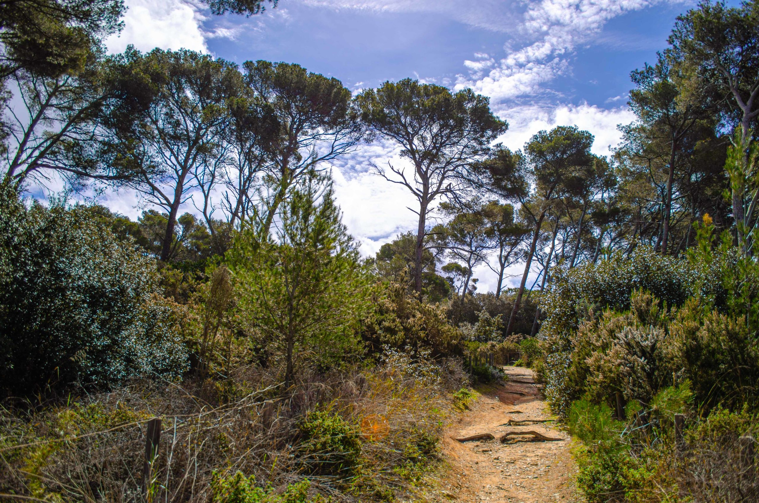 Porquerolles département du Var 83 que faire en provence alpes côte d'azur blog voyage