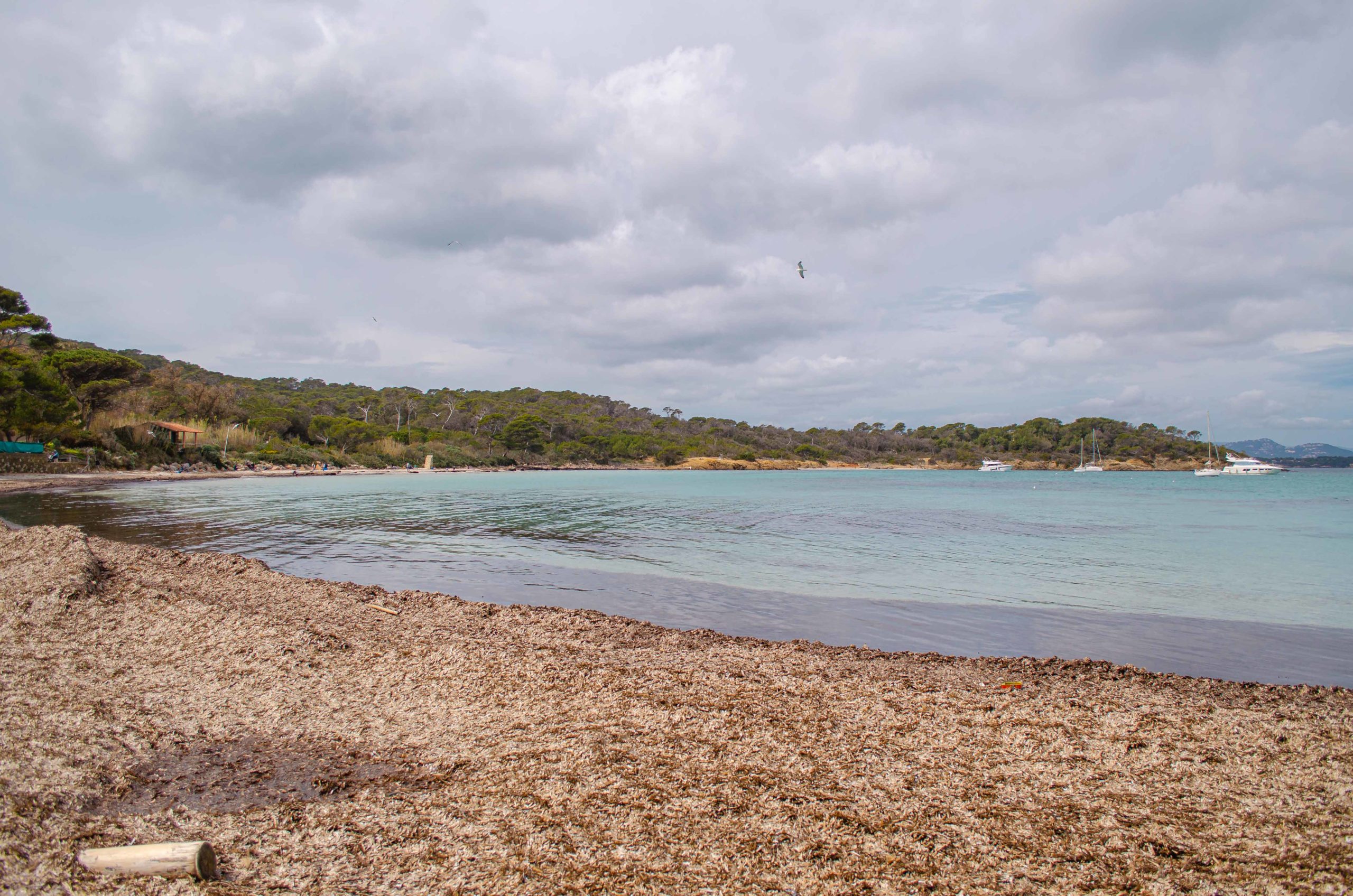 Porquerolles département du Var 83 que faire en provence alpes côte d'azur blog voyage