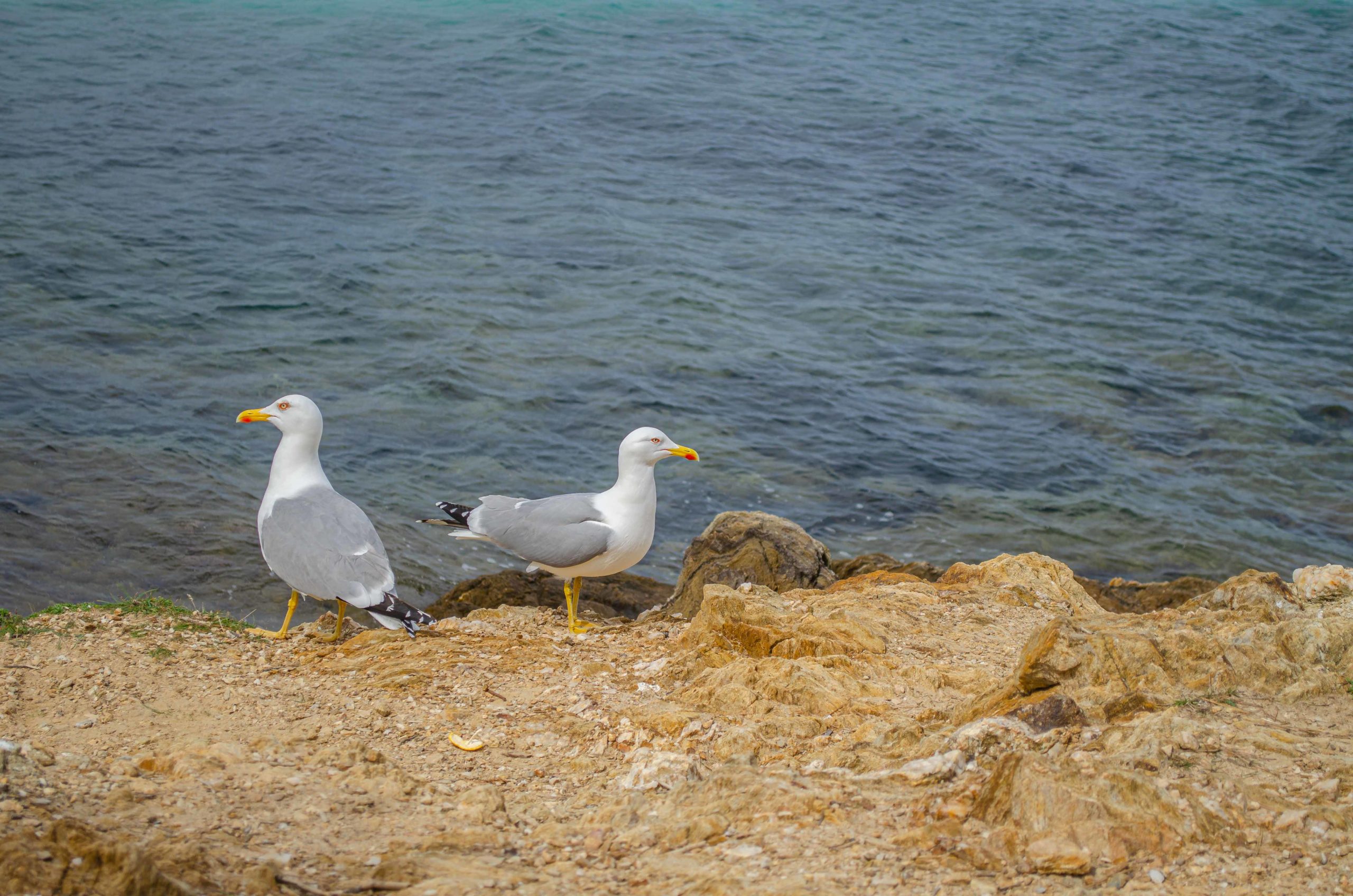 Porquerolles département du Var 83 que faire en provence alpes côte d'azur blog voyage