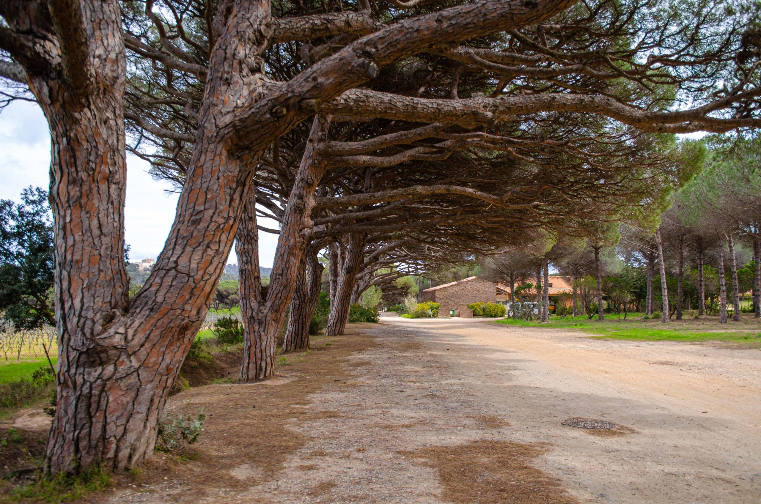 Porquerolles département du Var 83 que faire en provence alpes côte d'azur blog voyage
