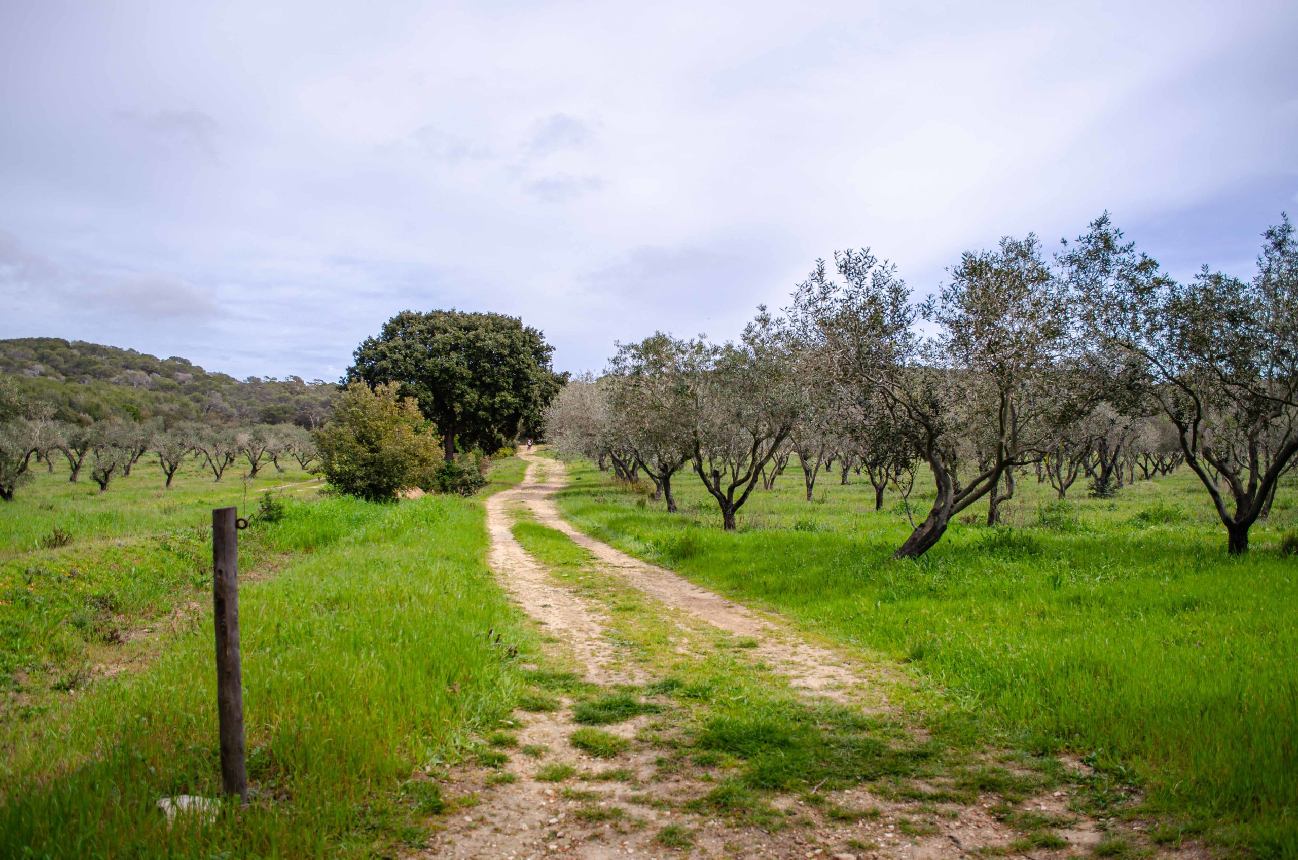 département du Var 83 que faire en provence alpes côte d'azur blog voyage