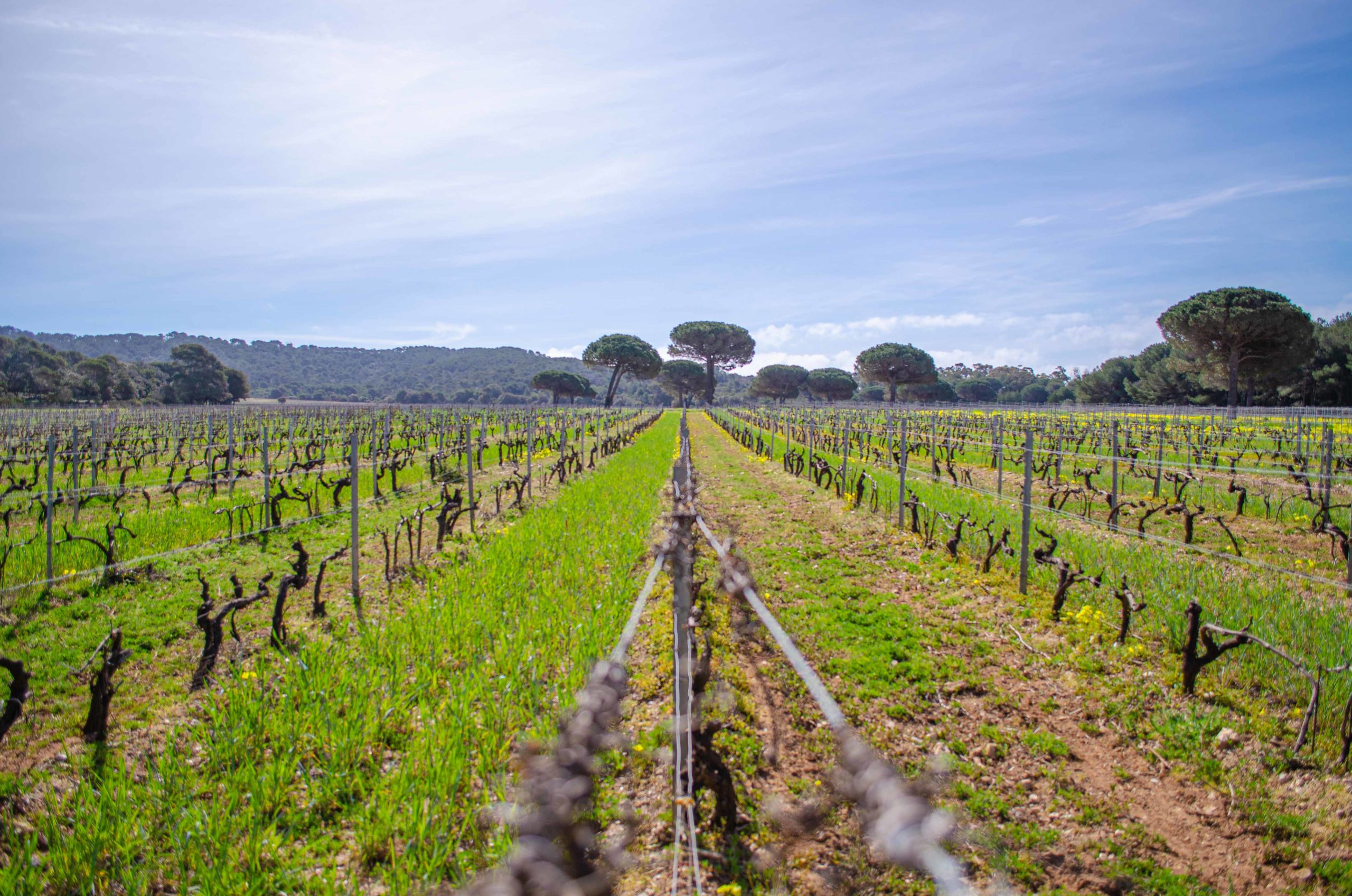Porquerolles département du Var 83 que faire en provence alpes côte d'azur blog voyage
