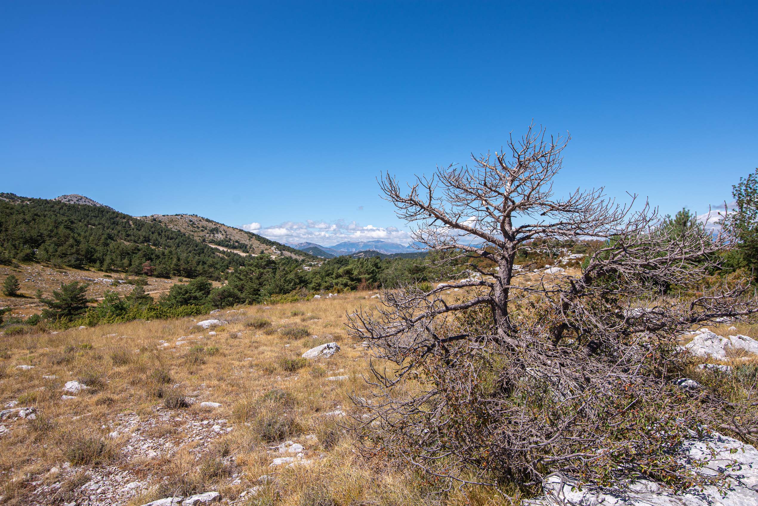 provence alpes côte d'azur blog voyage
