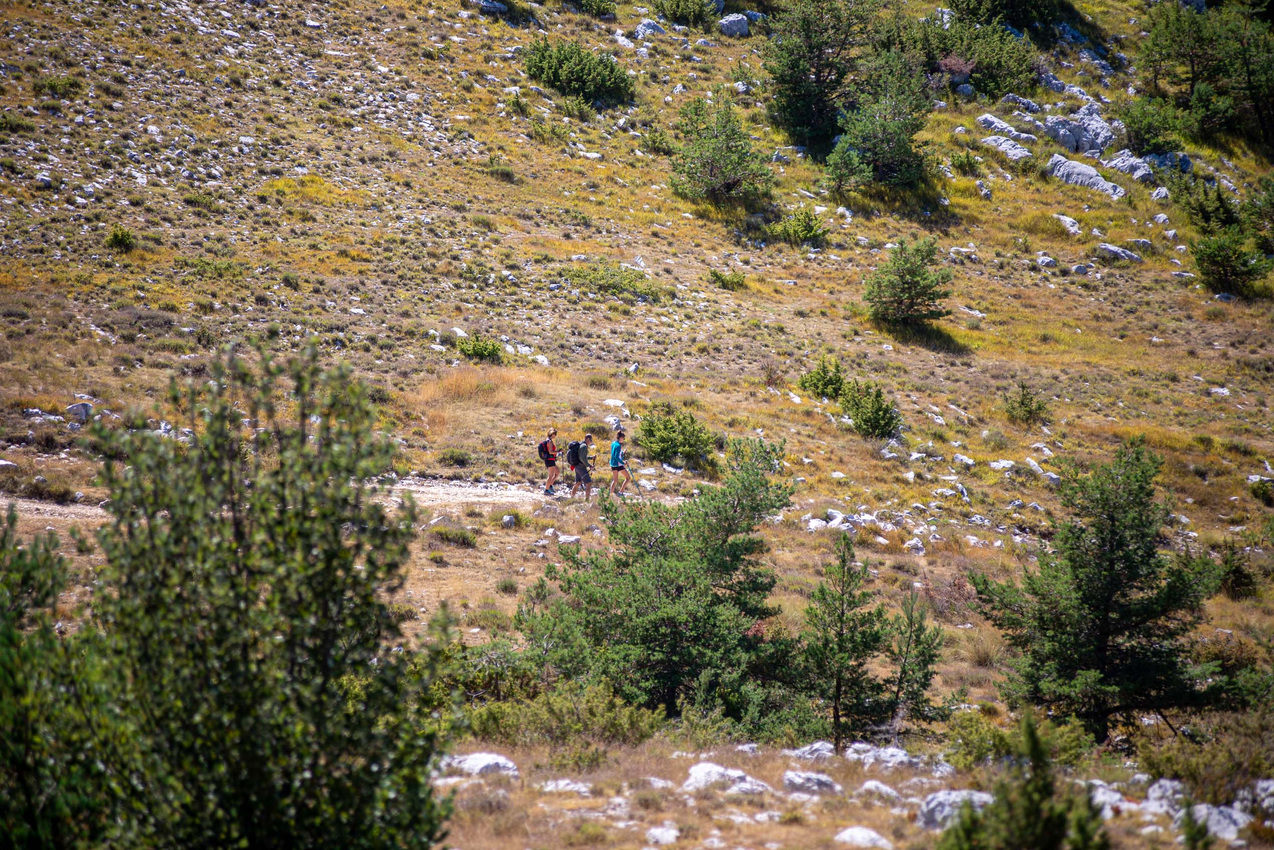 provence alpes côte d'azur blog voyage
