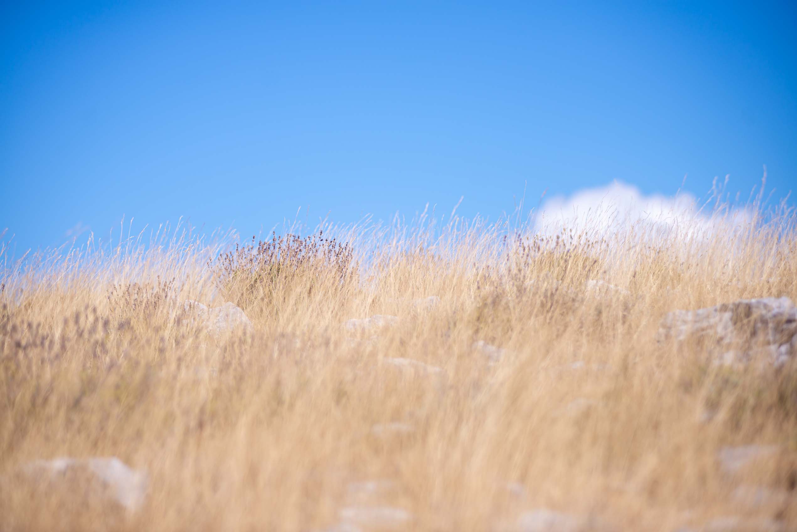 provence alpes côte d'azur blog voyage