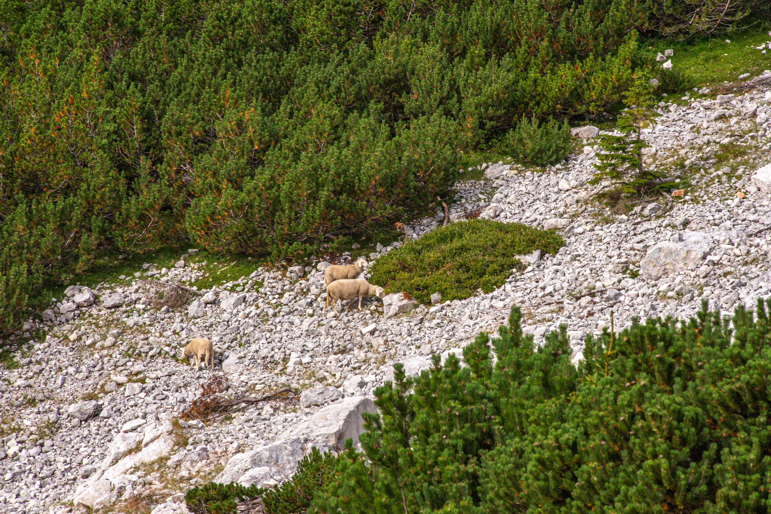 Road trip en Slovénie blog voyage