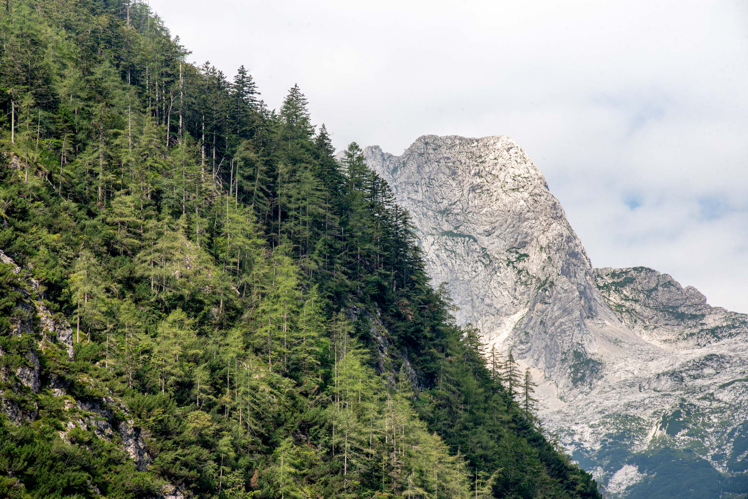 Road trip en Slovénie blog voyage