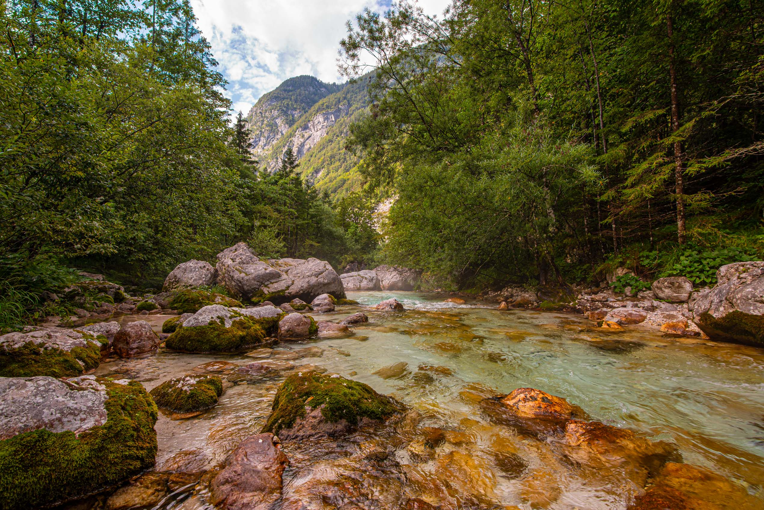 Road trip en Slovénie blog voyage