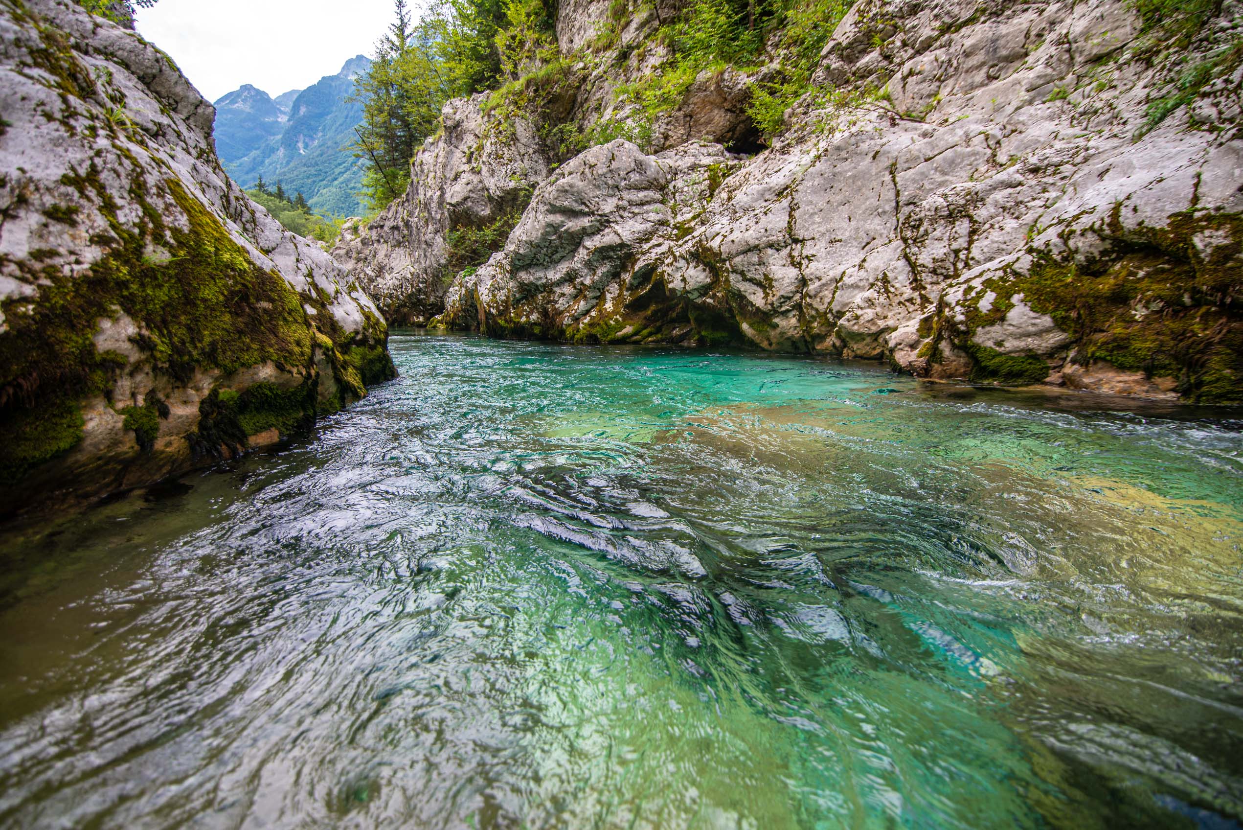 Road trip en Slovénie blog voyage