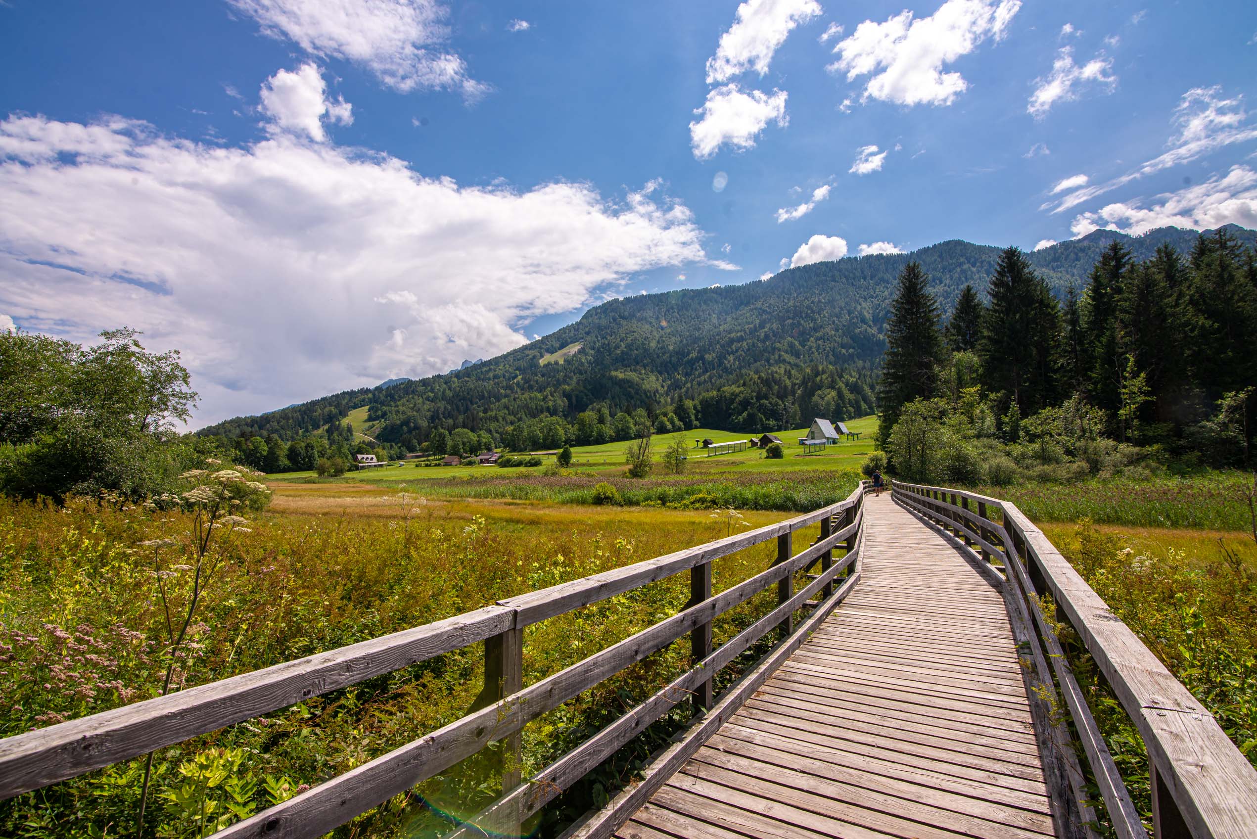 Road trip en Slovénie blog voyage