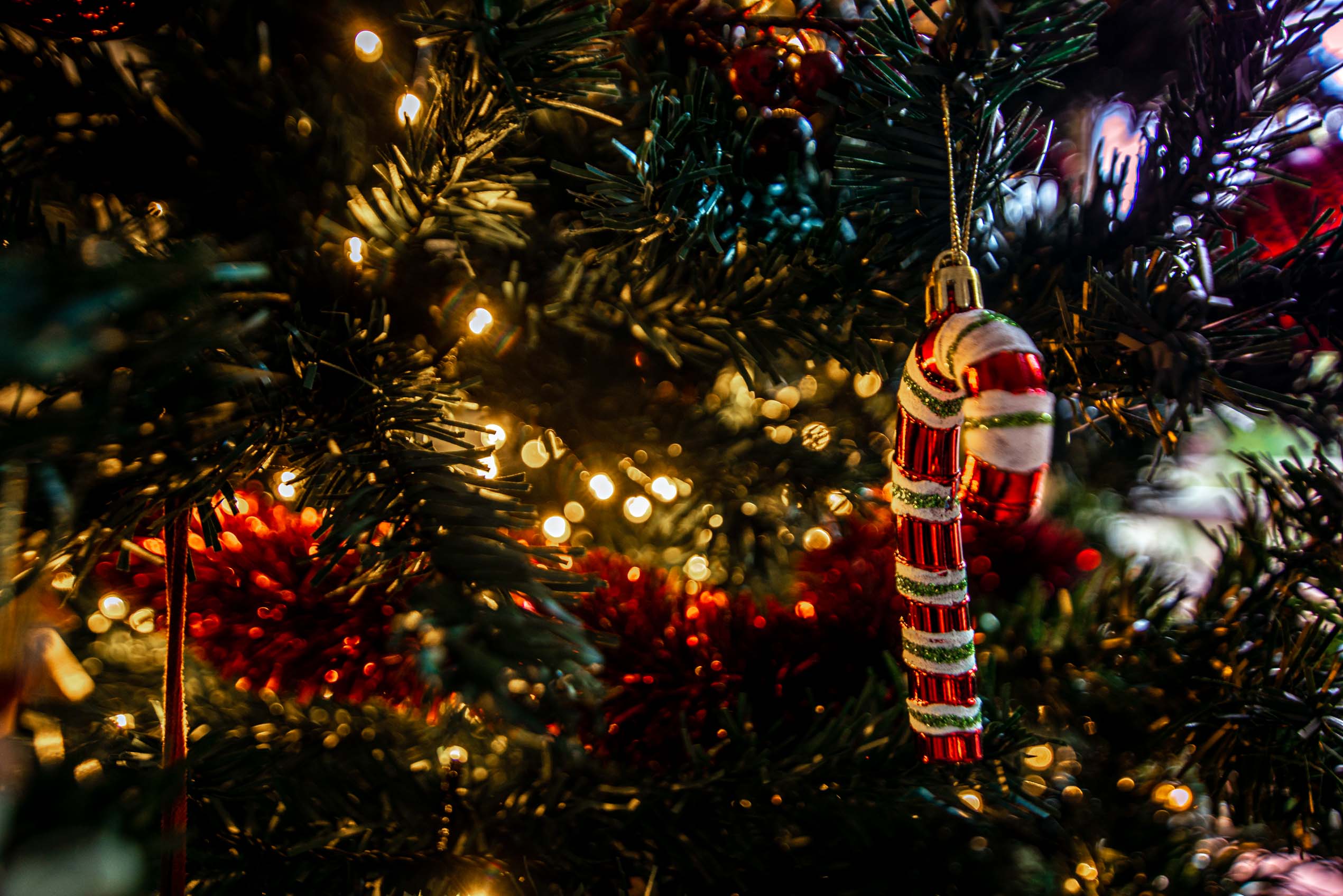 idées cadeaux noël calendrier photo