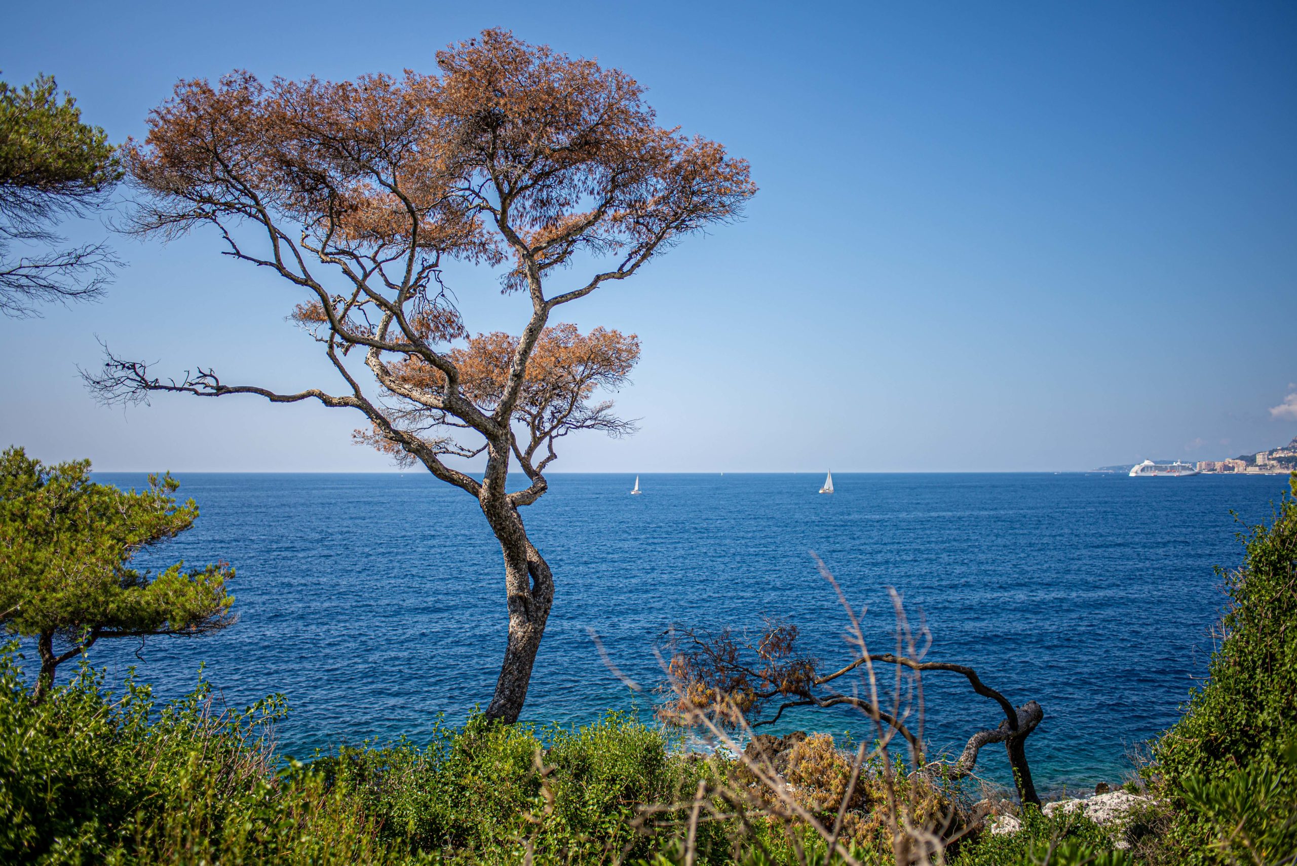 Le Sentier du Corbusier Roquebrune Cap-Martin Que faire dans en Provence Alpes Cote D'azur Alpes Maritimes Blog Voyage
