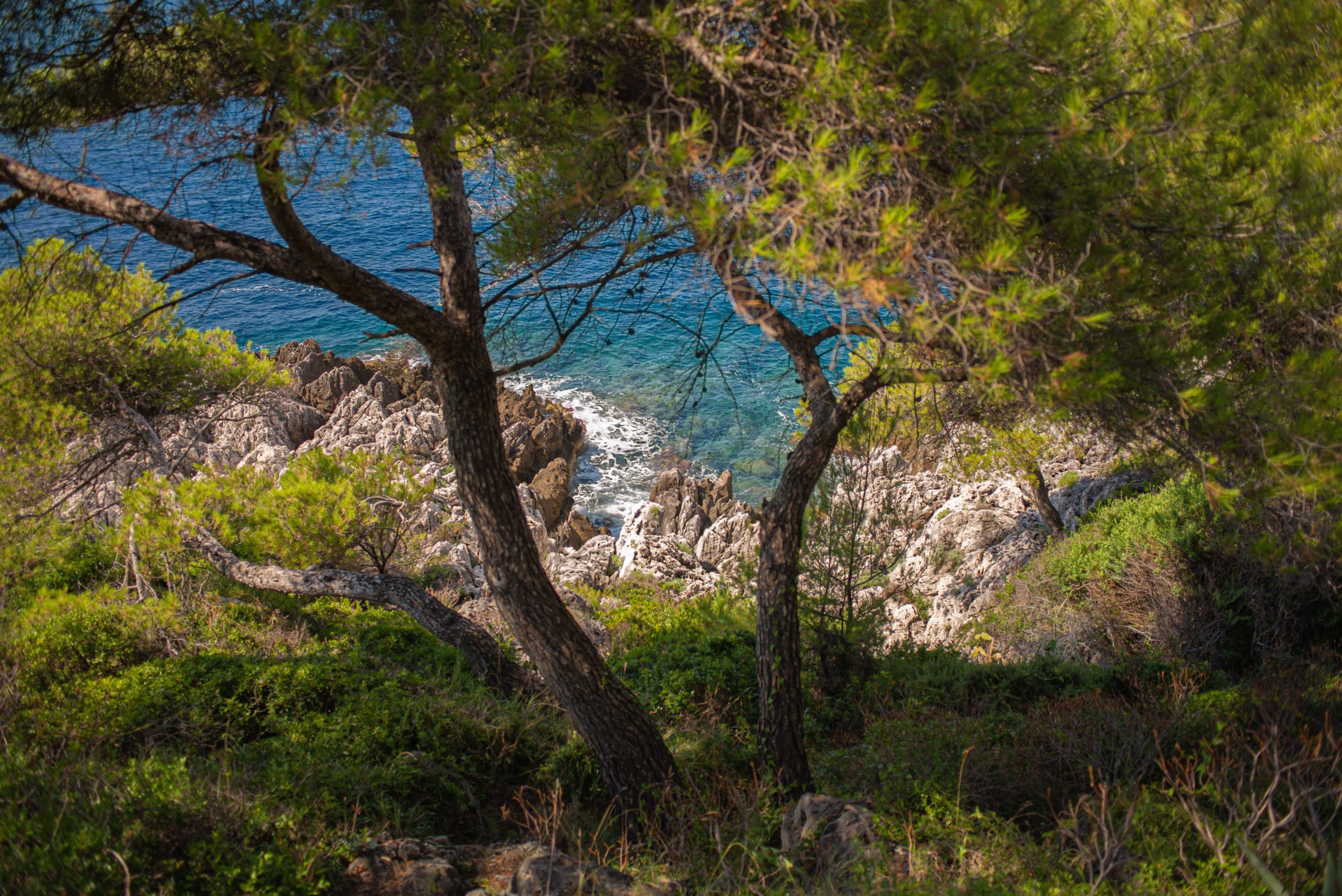Roquebrune Cap-Martin Que faire dans en Provence Alpes Cote D'azur Alpes Maritimes Blog Voyage