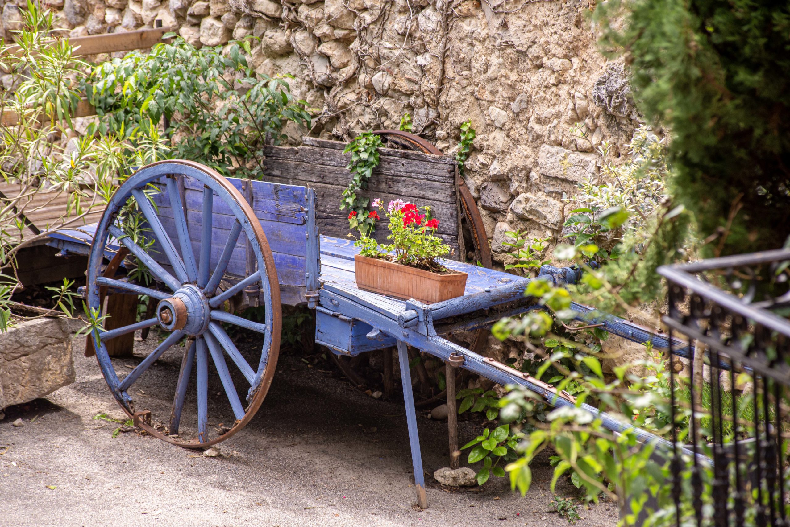 que faire en provence alpes cote d'azur alpes de haute provence plus beau village de France