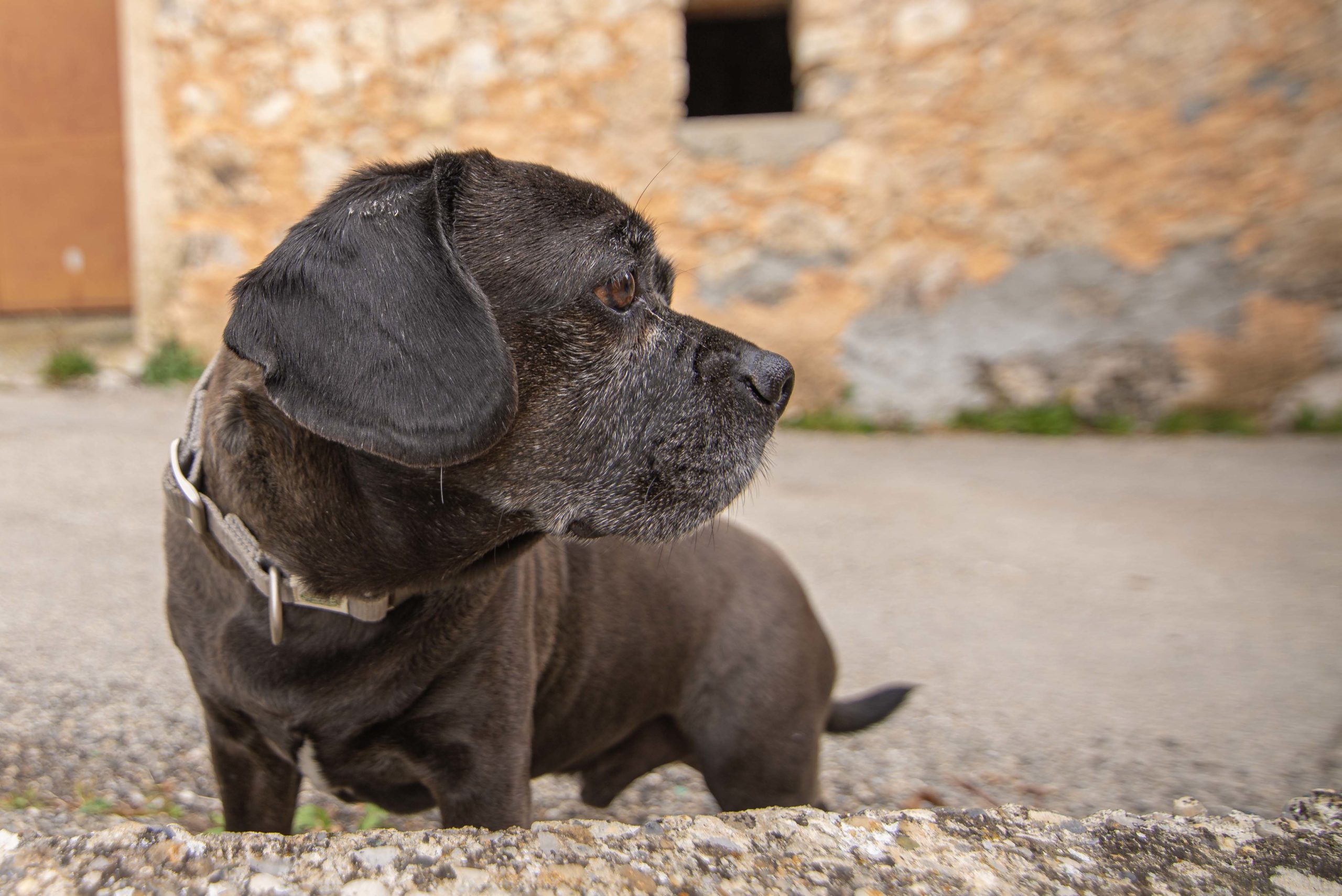 que faire dans le VAR 83 que faire en provence alpes cote d'azur blog voyage