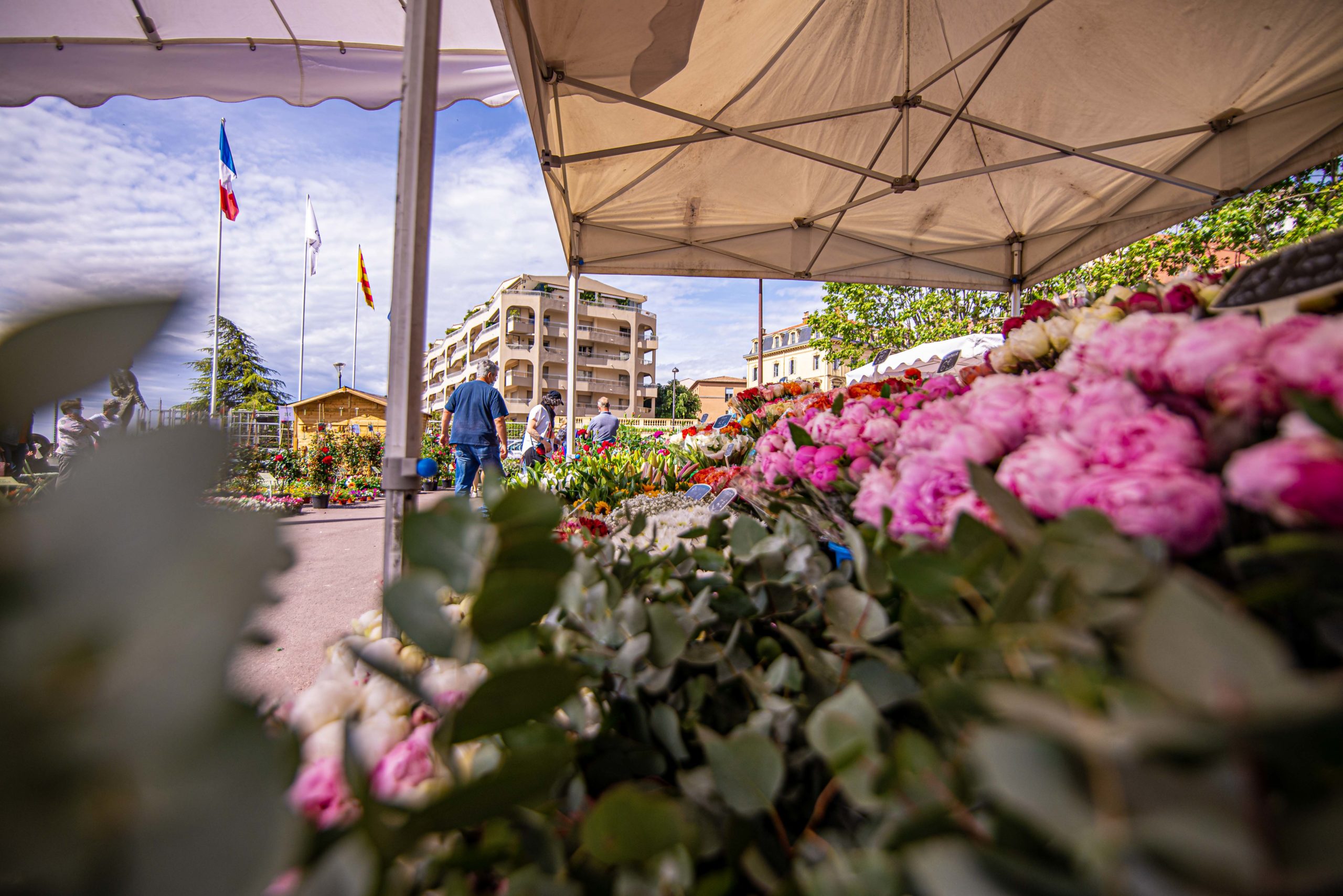 Que faire en provence alpes cote d'azur Grassse aux roses blog voyage