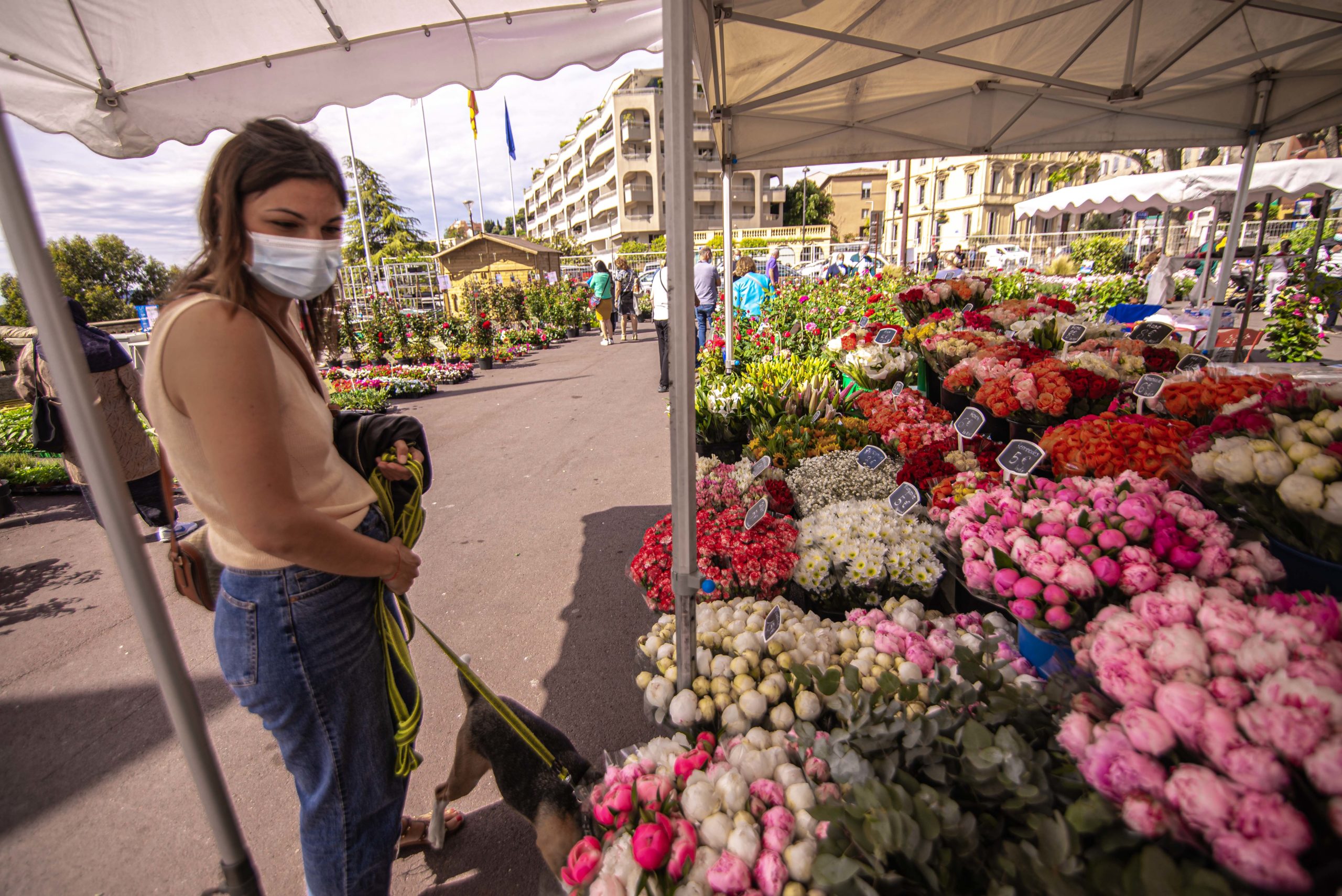 Exporose Que faire en provence alpes cote d'azur Grassse aux roses blog voyage