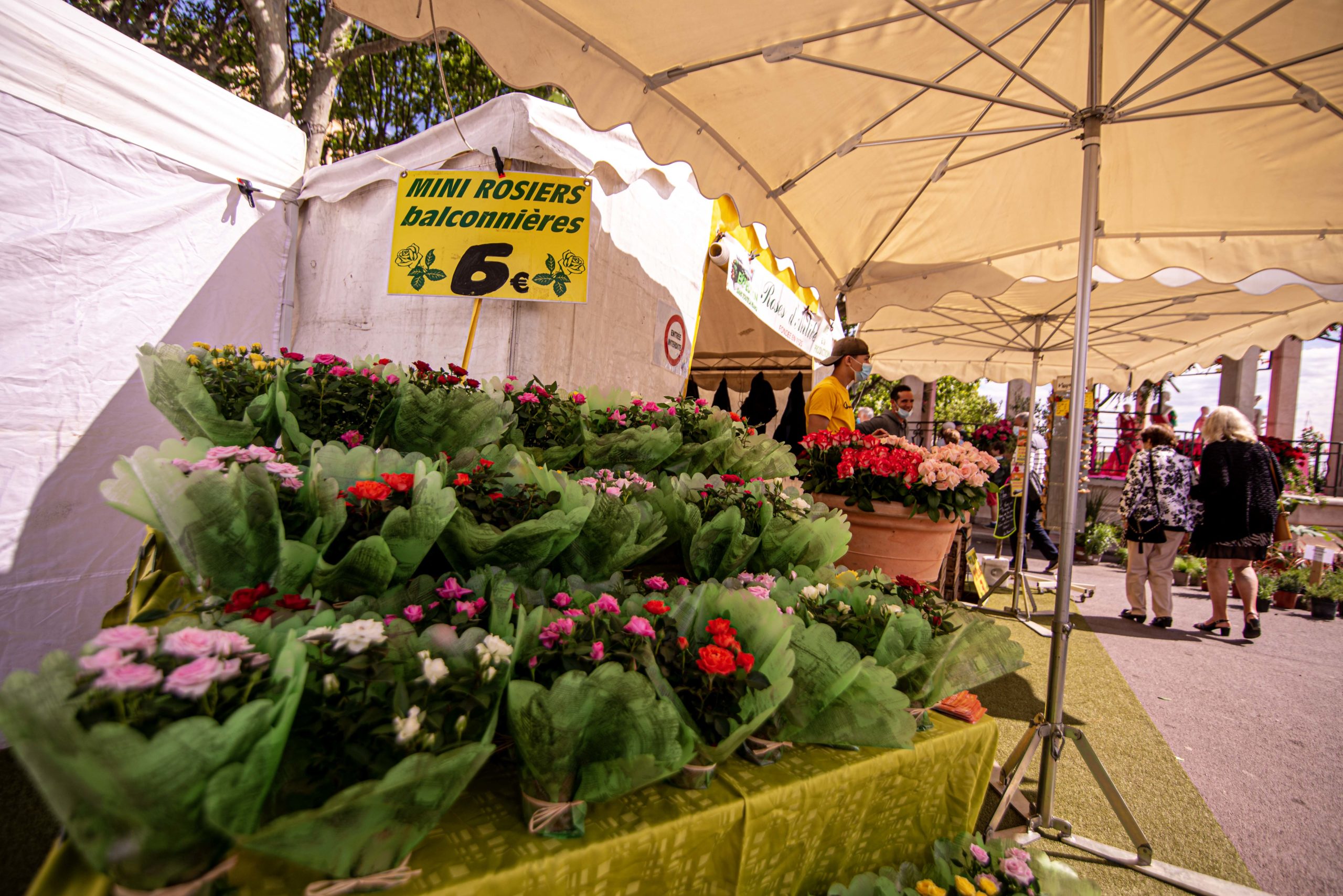 Exporose Que faire en provence alpes cote d'azur Grassse aux roses blog voyage