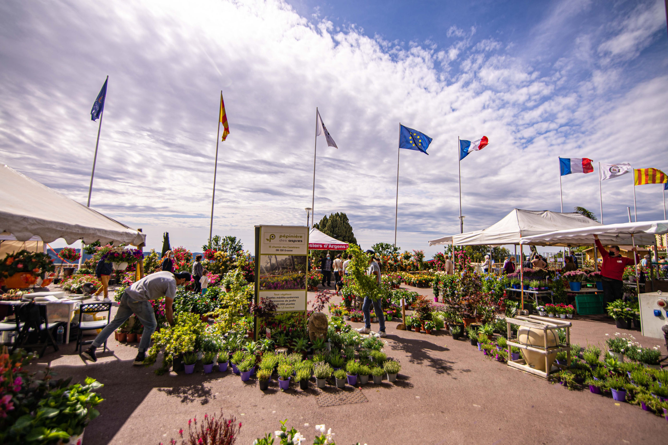 Que faire en provence alpes cote d'azur Grassse aux roses blog voyage