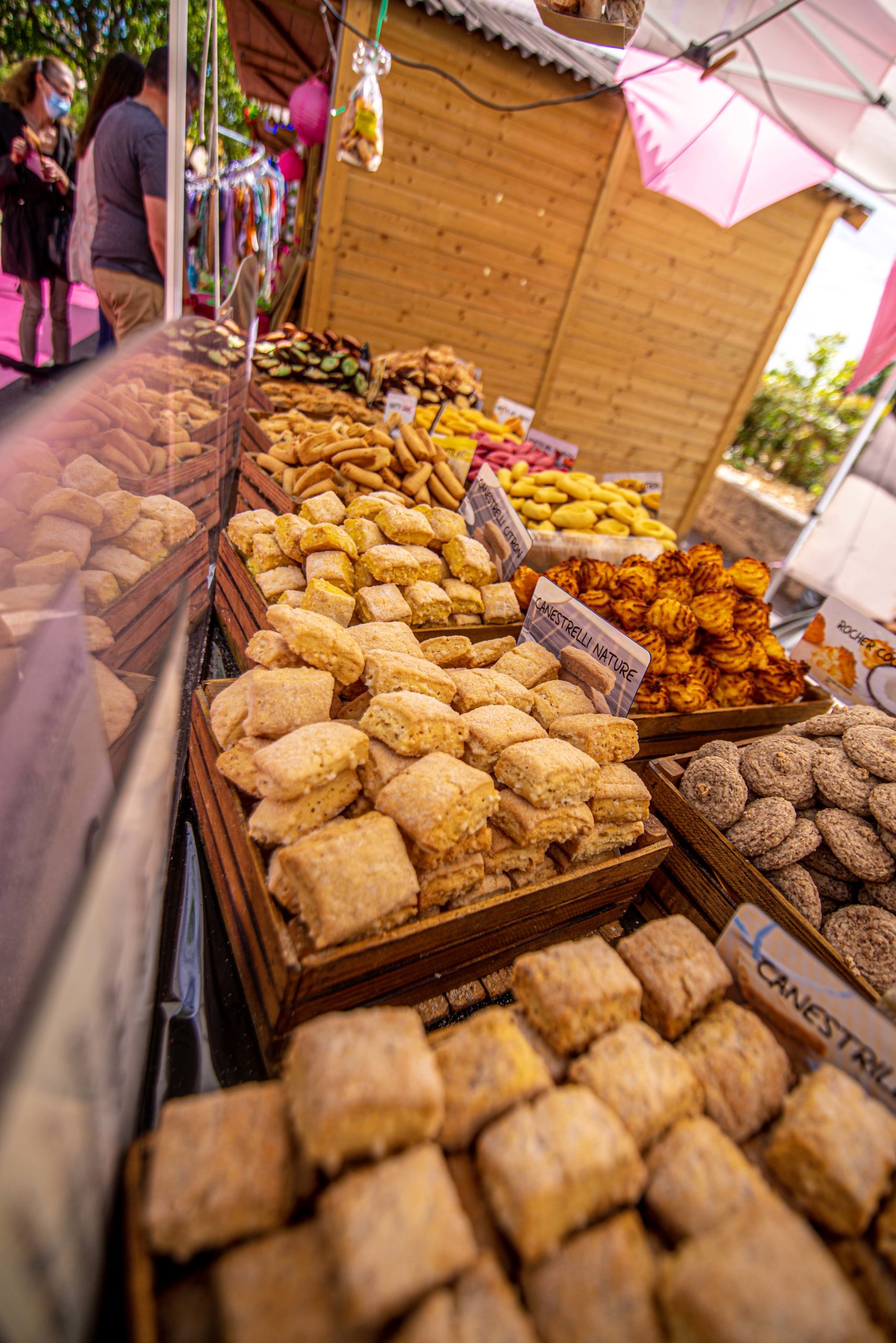 Que faire en provence alpes cote d'azur Grassse aux roses blog voyage