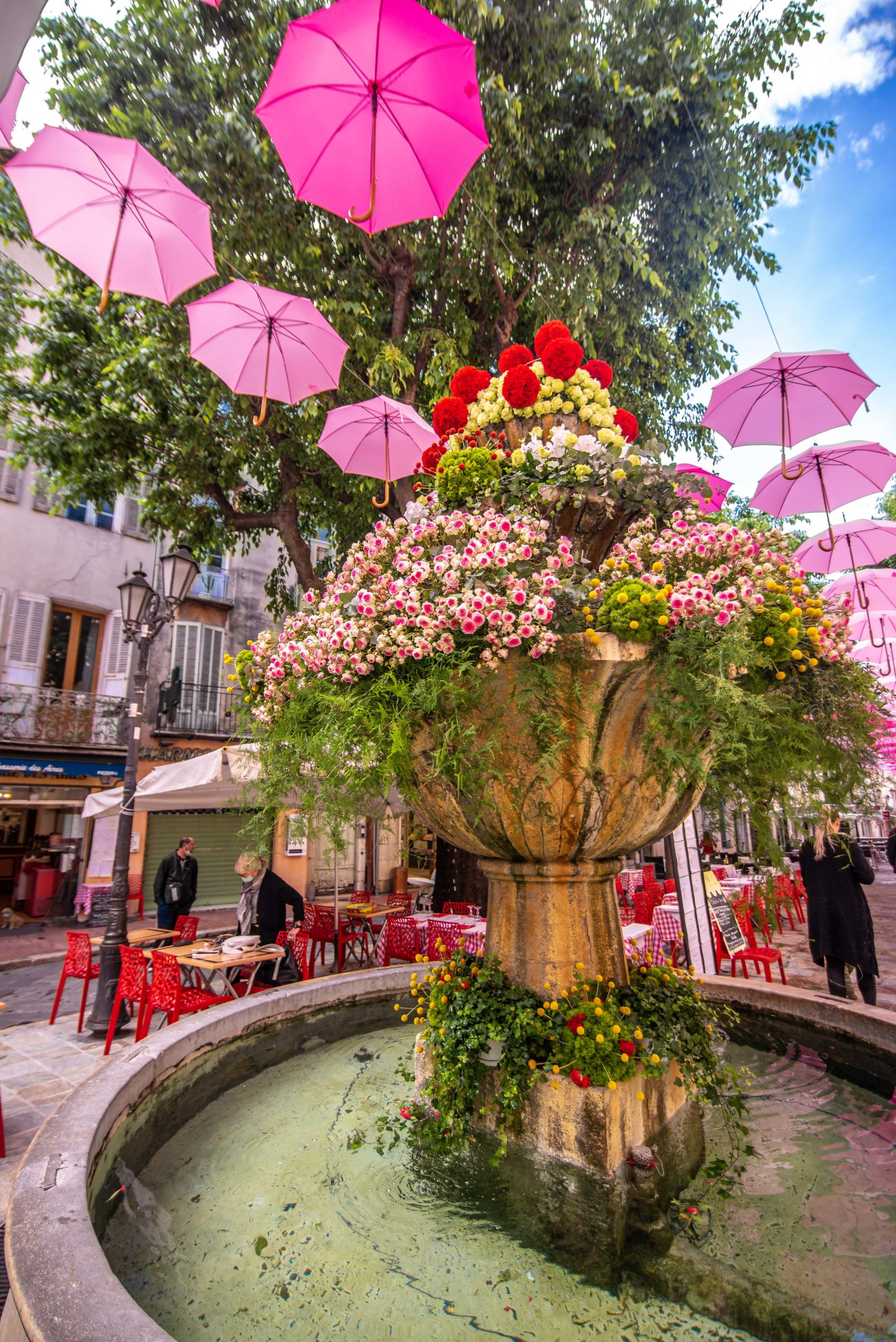 Exporoses Que faire en provence alpes cote d'azur Grassse aux roses blog voyage