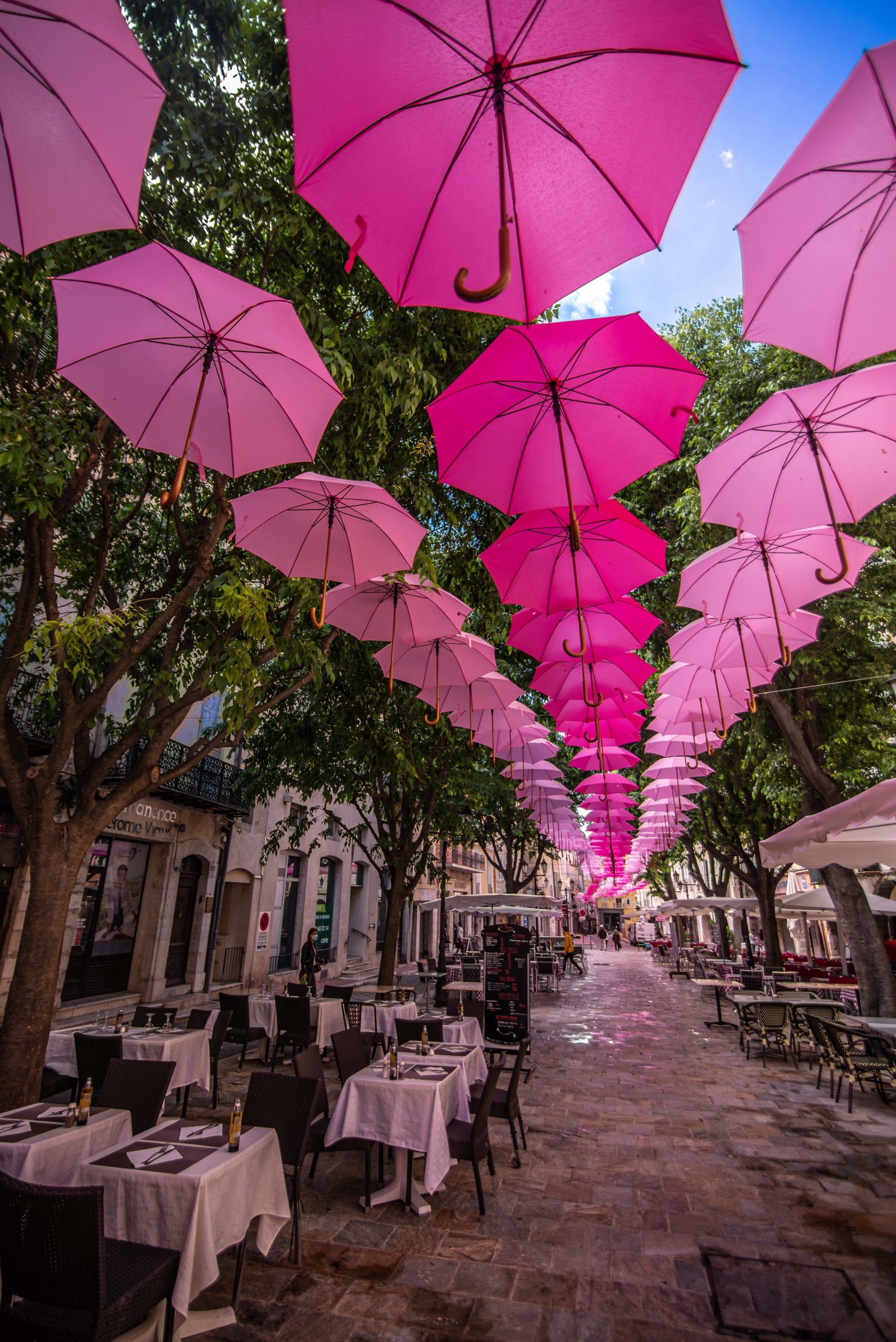 Que faire en provence alpes cote d'azur Grassse aux roses blog voyage