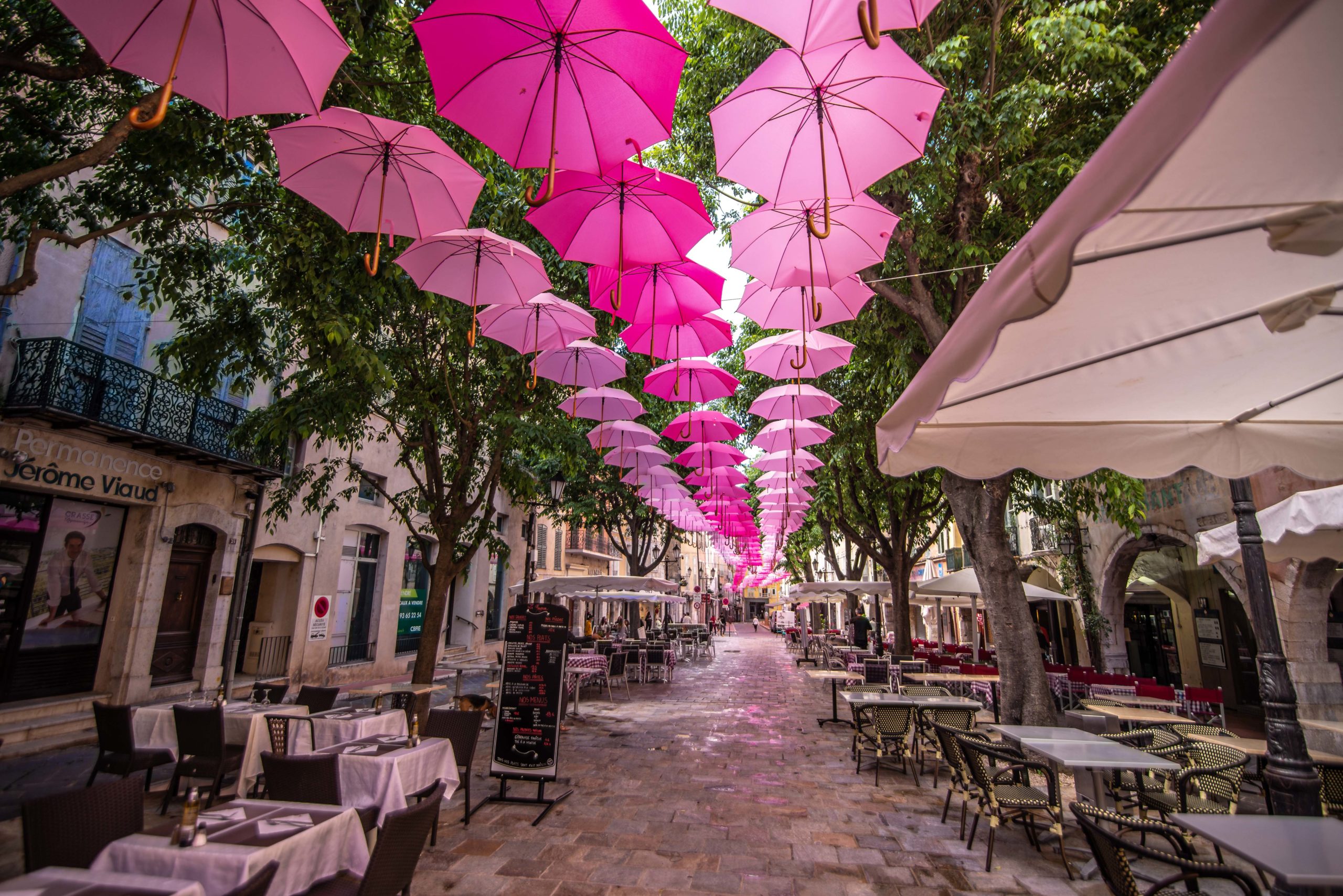 Exporoses Que faire en provence alpes cote d'azur Grassse aux roses blog voyage