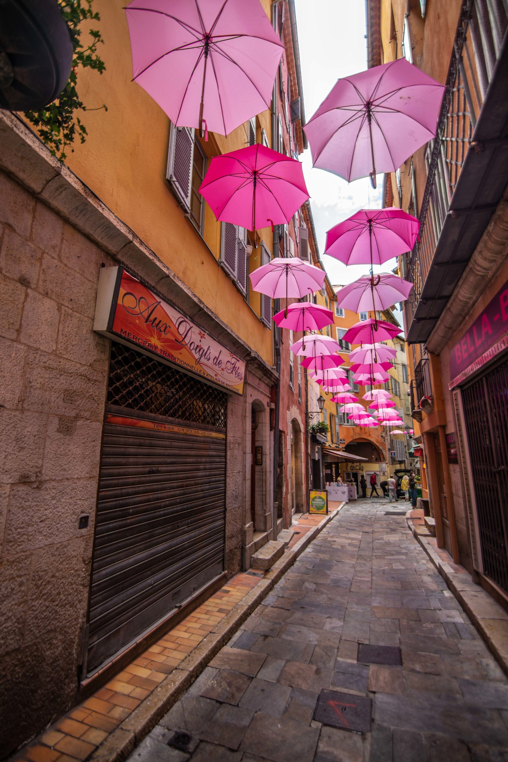 ExpoRose Que faire en provence alpes cote d'azur Grassse aux roses blog voyage