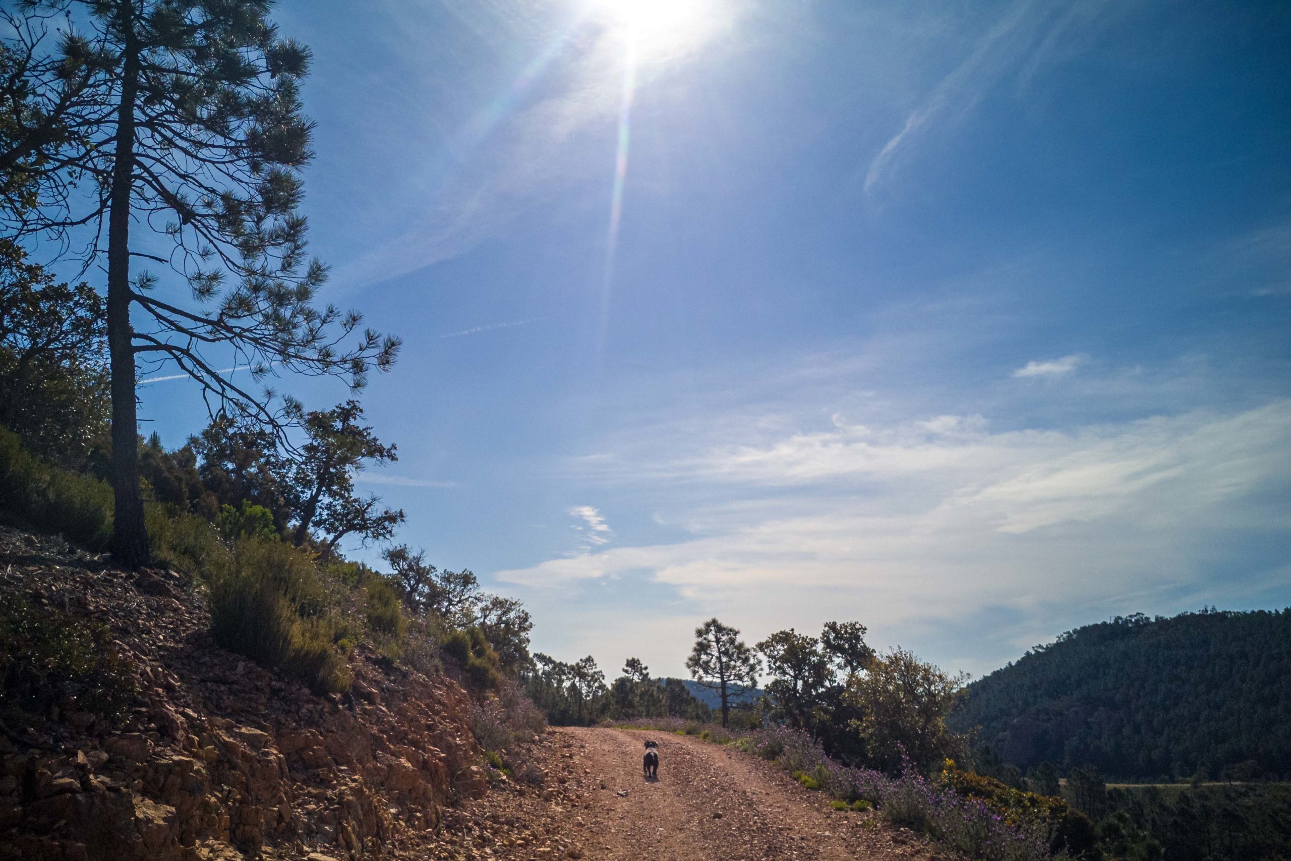 Sentier des mineurs Théoule-sur-Mer randonnée que faire en provence alpes cote d'azur blog voyage