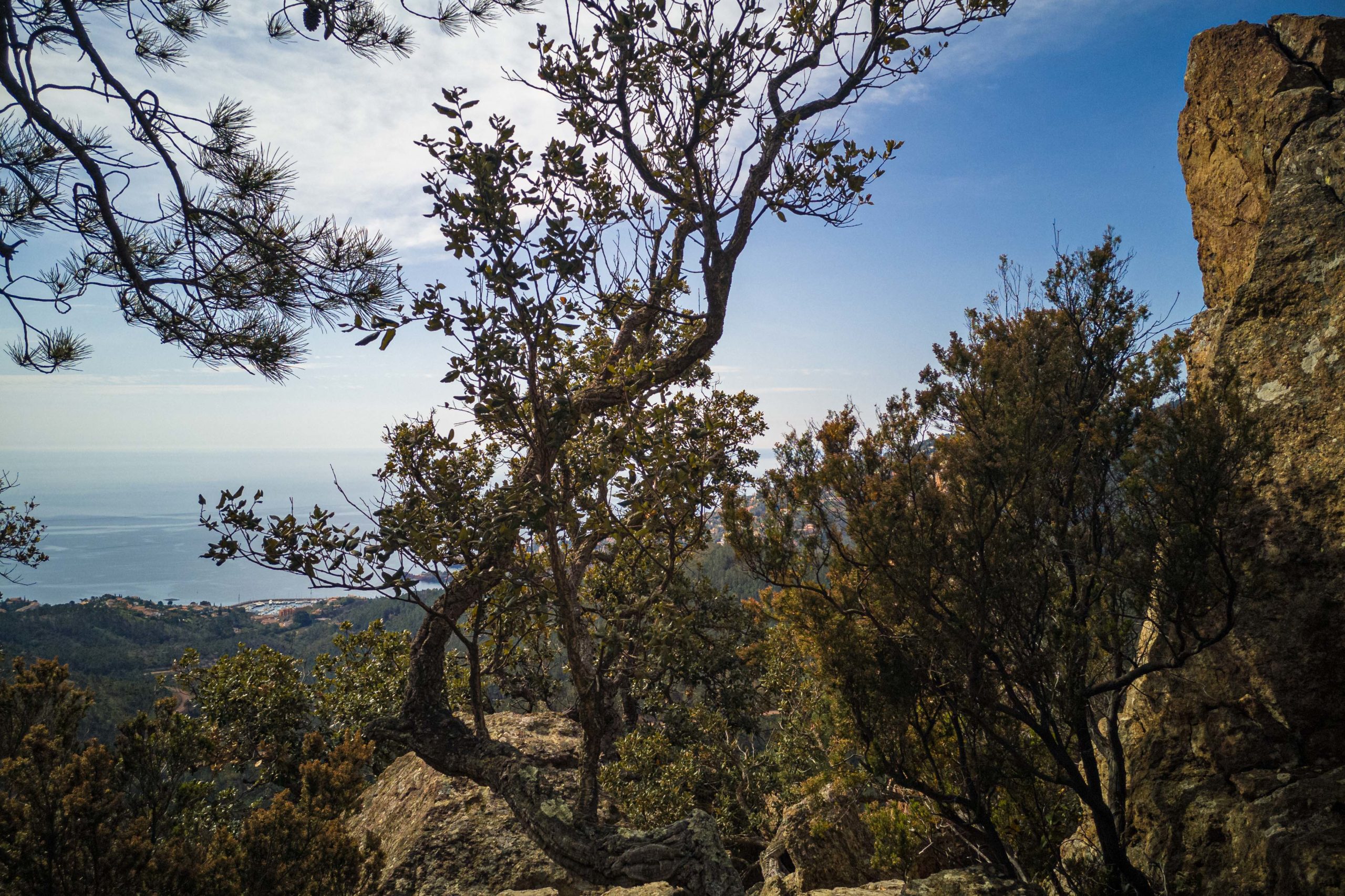 Théoule-sur-Mer randonnée que faire en provence alpes cote d'azur blog voyage