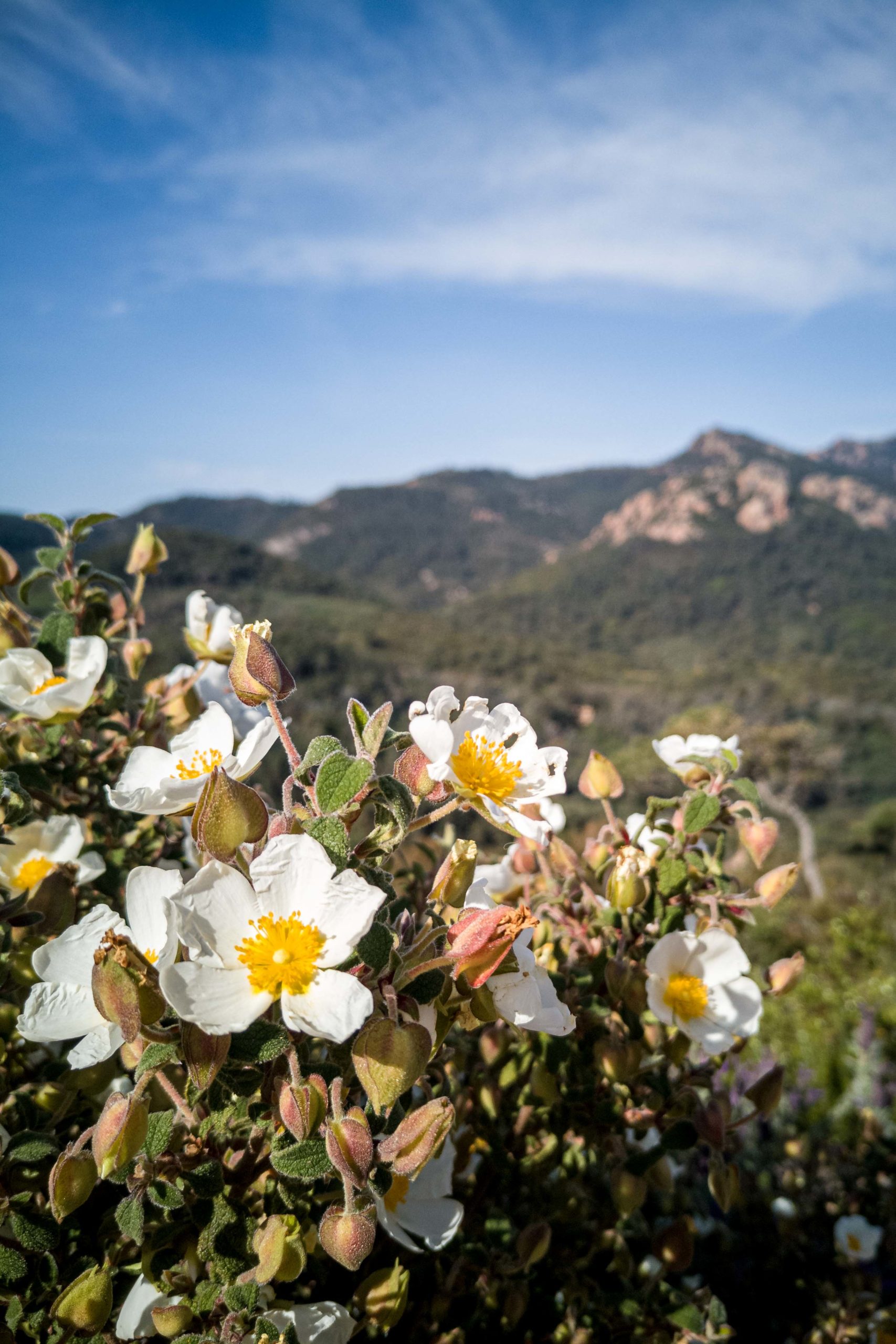 Théoule-sur-Mer randonnée que faire en provence alpes cote d'azur blog voyage