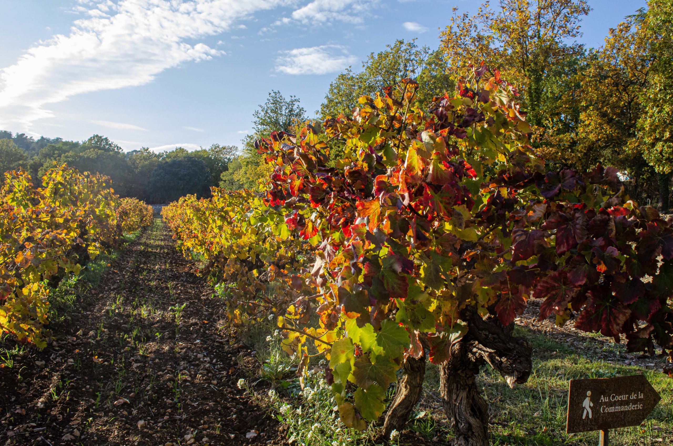 automne blog voyage dans le var france camping labelisés ASCI