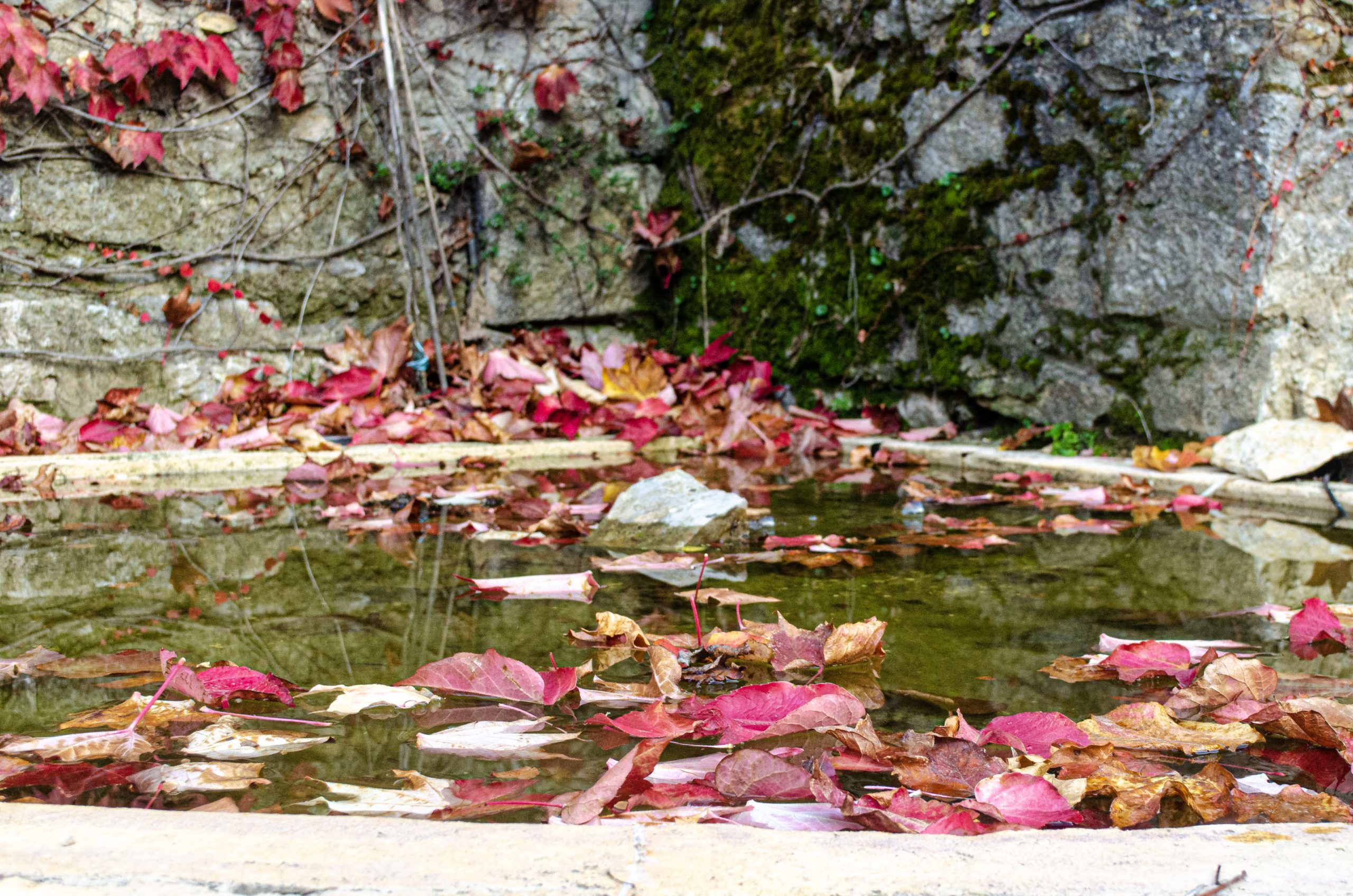 automne blog voyage dans le var france camping labelisés ASCI