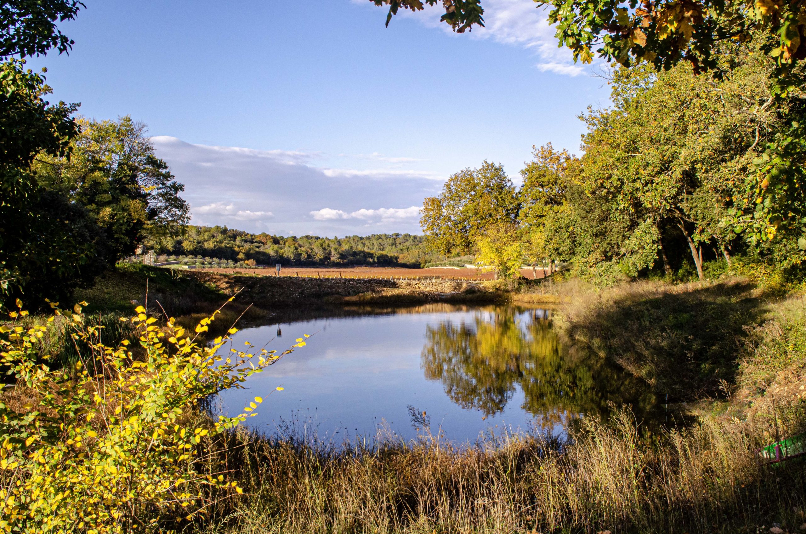 automne blog voyage dans le var france camping labelisés ASCI